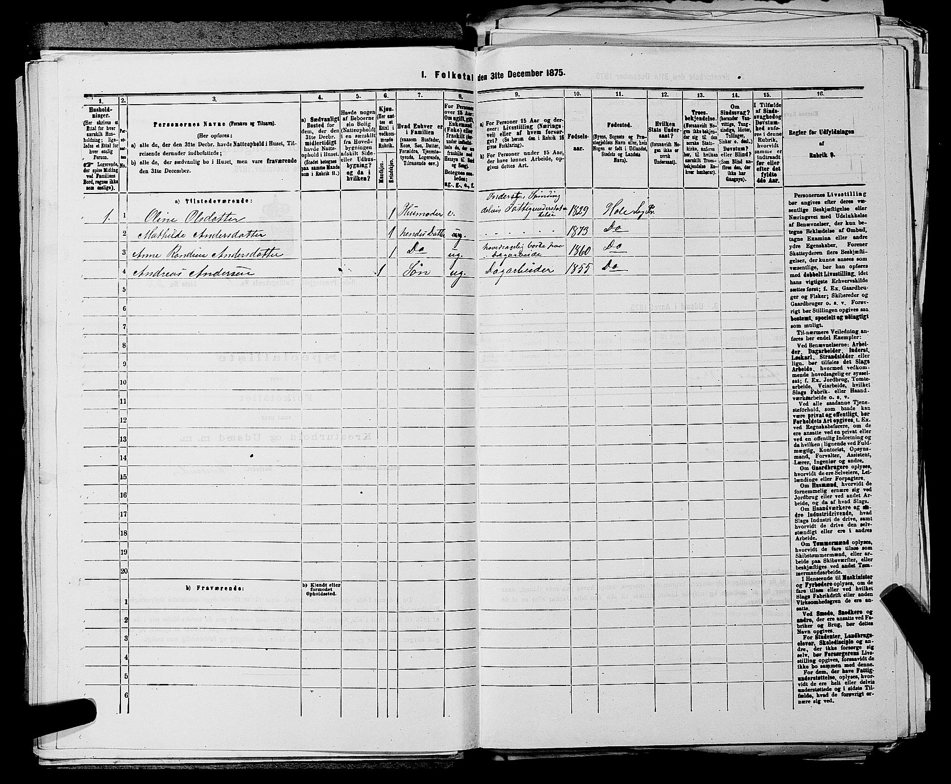 SAKO, 1875 census for 0612P Hole, 1875, p. 161