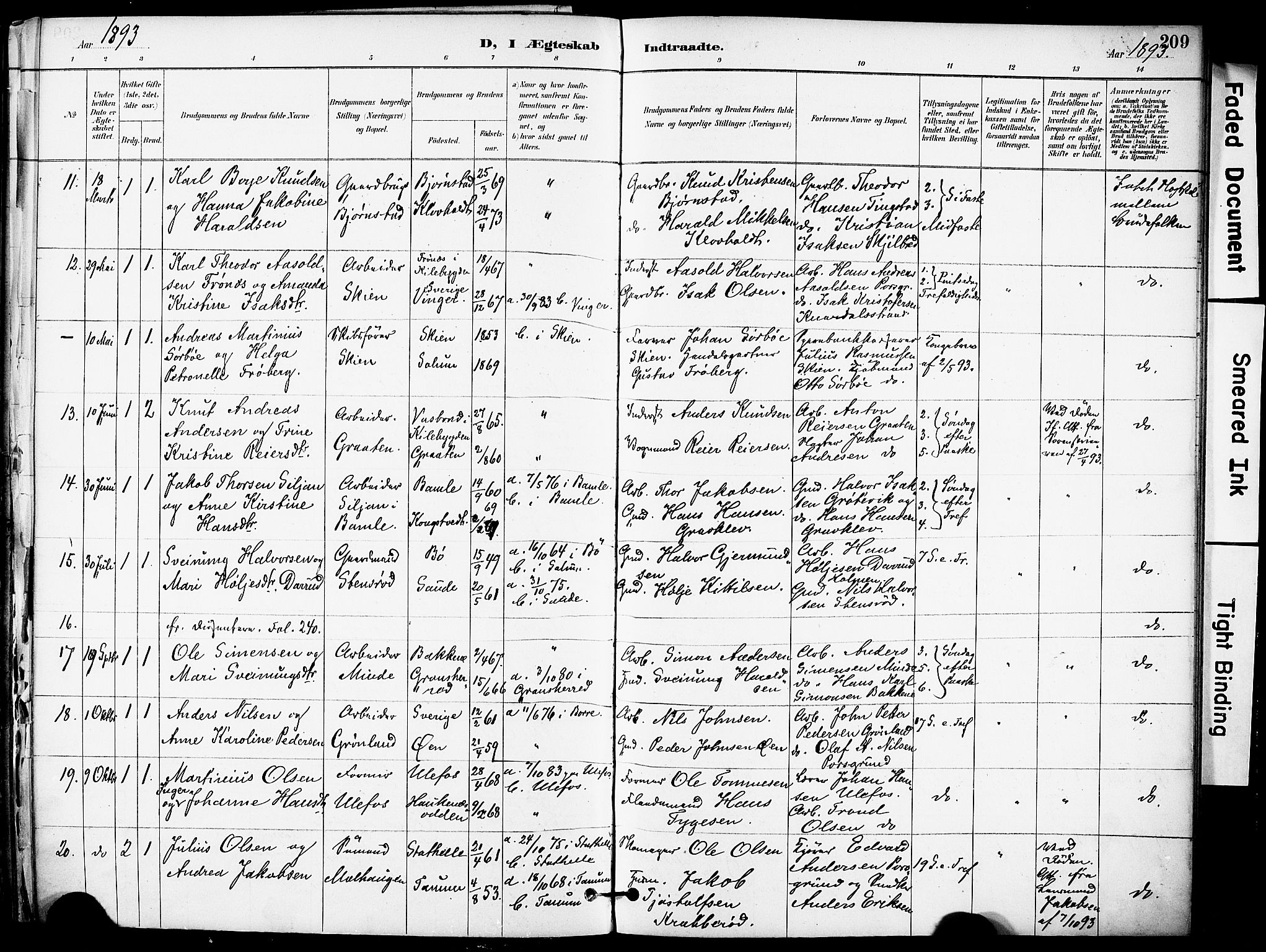 Solum kirkebøker, AV/SAKO-A-306/F/Fa/L0010: Parish register (official) no. I 10, 1888-1898, p. 209
