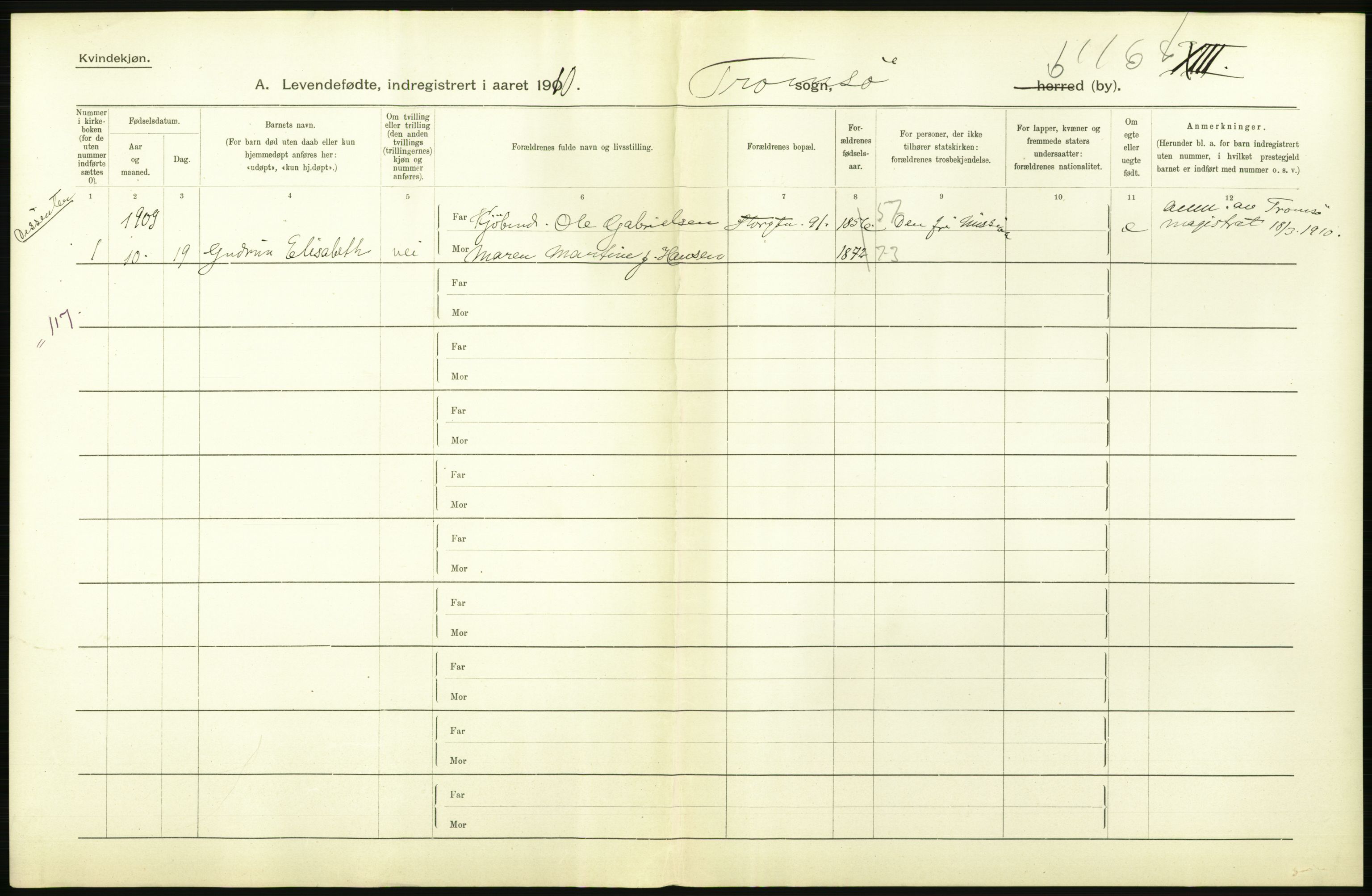 Statistisk sentralbyrå, Sosiodemografiske emner, Befolkning, AV/RA-S-2228/D/Df/Dfa/Dfah/L0043: Tromsø amt: Levendefødte menn og kvinner. Bygder og byer., 1910, p. 506