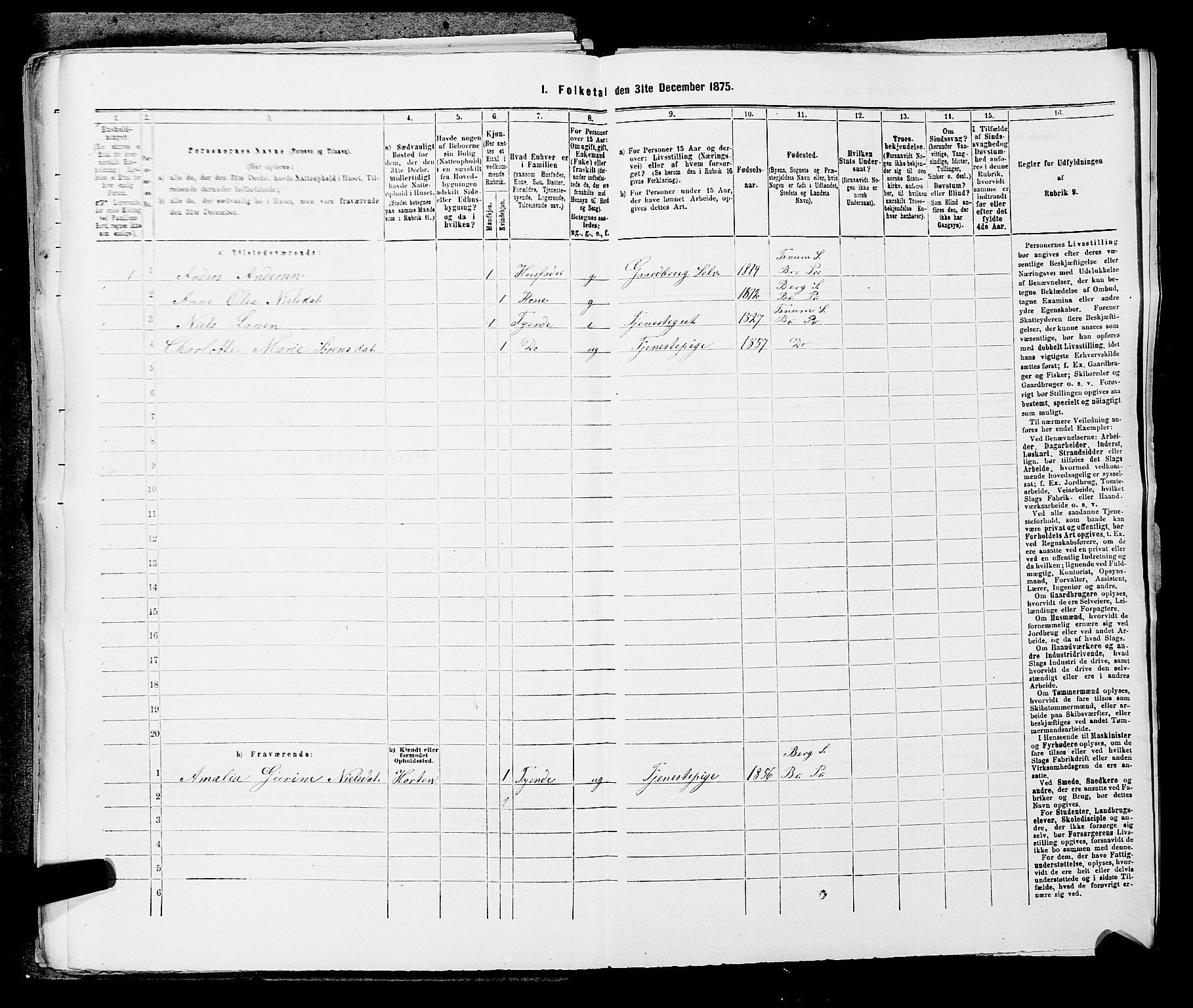 SAKO, 1875 census for 0726P Brunlanes, 1875, p. 776