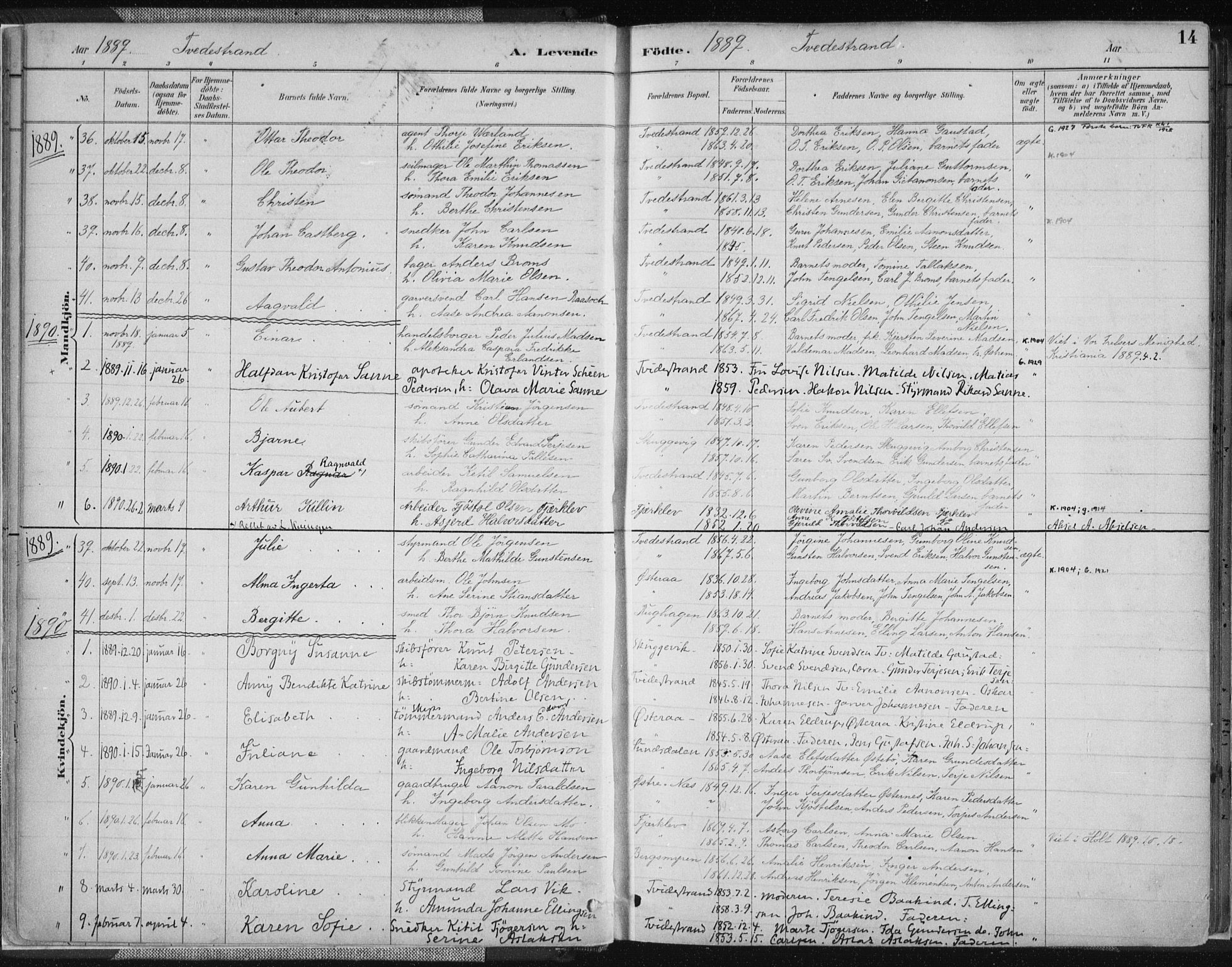 Tvedestrand sokneprestkontor, AV/SAK-1111-0042/F/Fa/L0001: Parish register (official) no. A 1, 1885-1916, p. 14