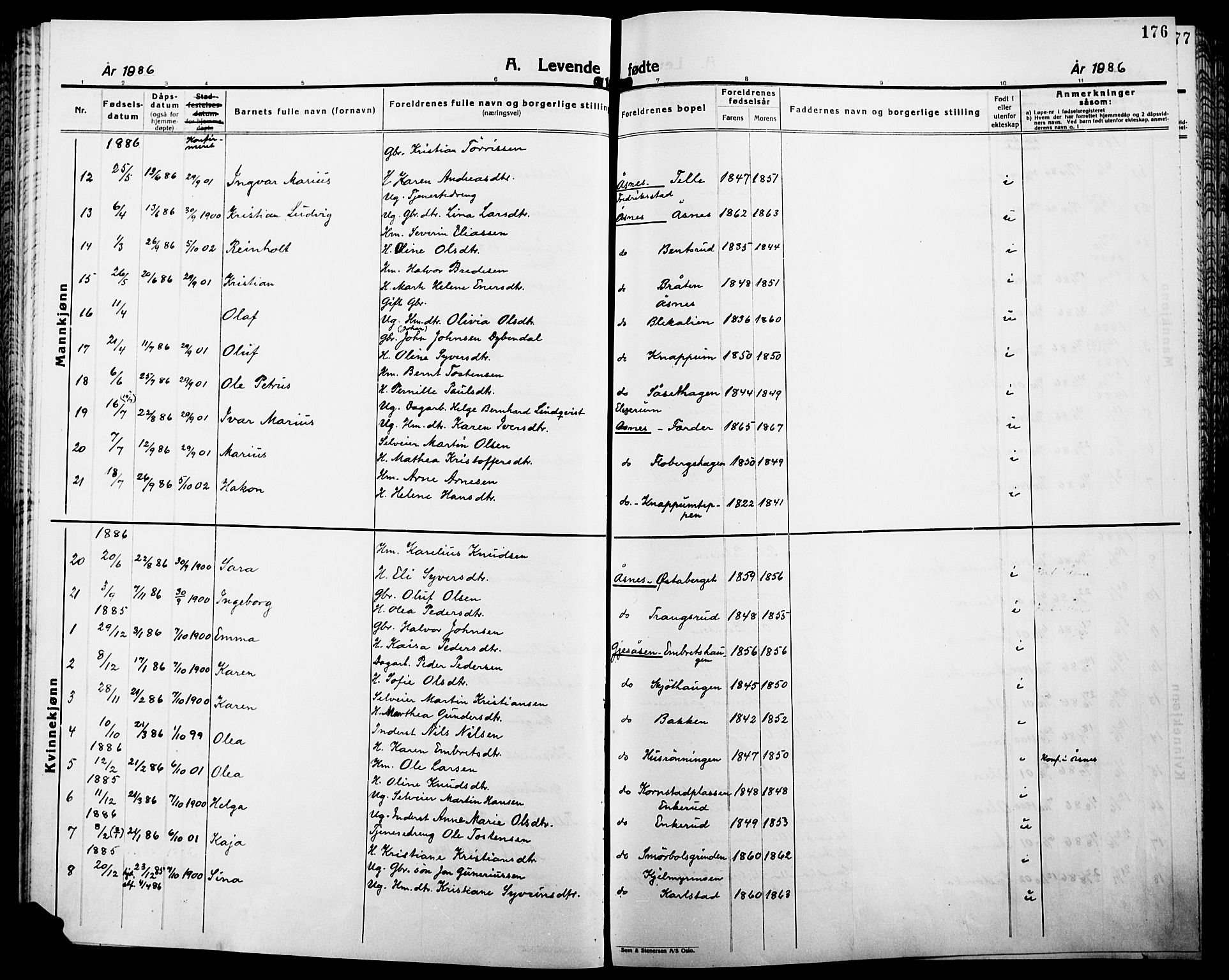 Åsnes prestekontor, SAH/PREST-042/H/Ha/Haa/L0000B: Parish register (official), 1870-1889, p. 176