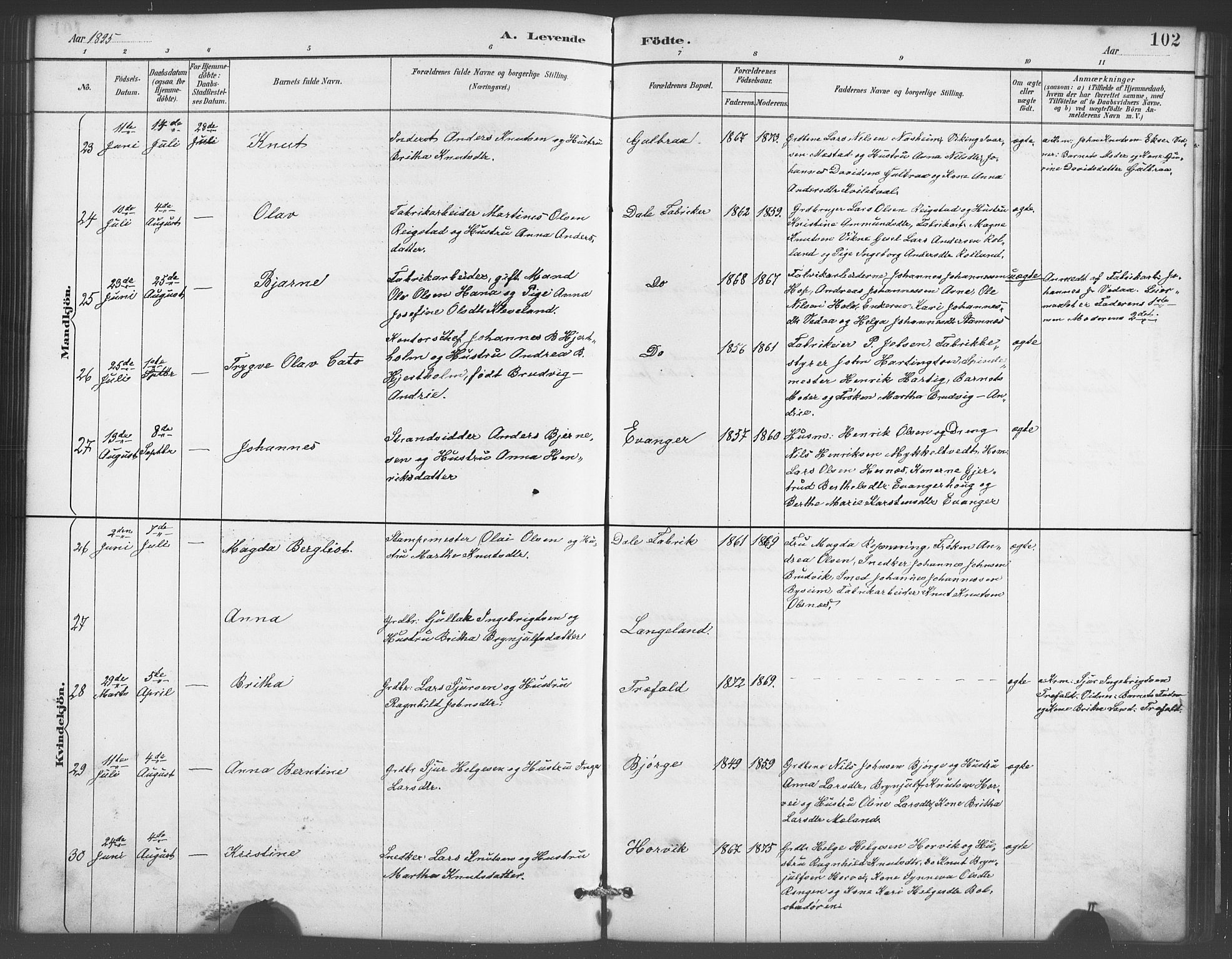 Evanger sokneprestembete, AV/SAB-A-99924: Parish register (copy) no. A 4, 1887-1897, p. 102