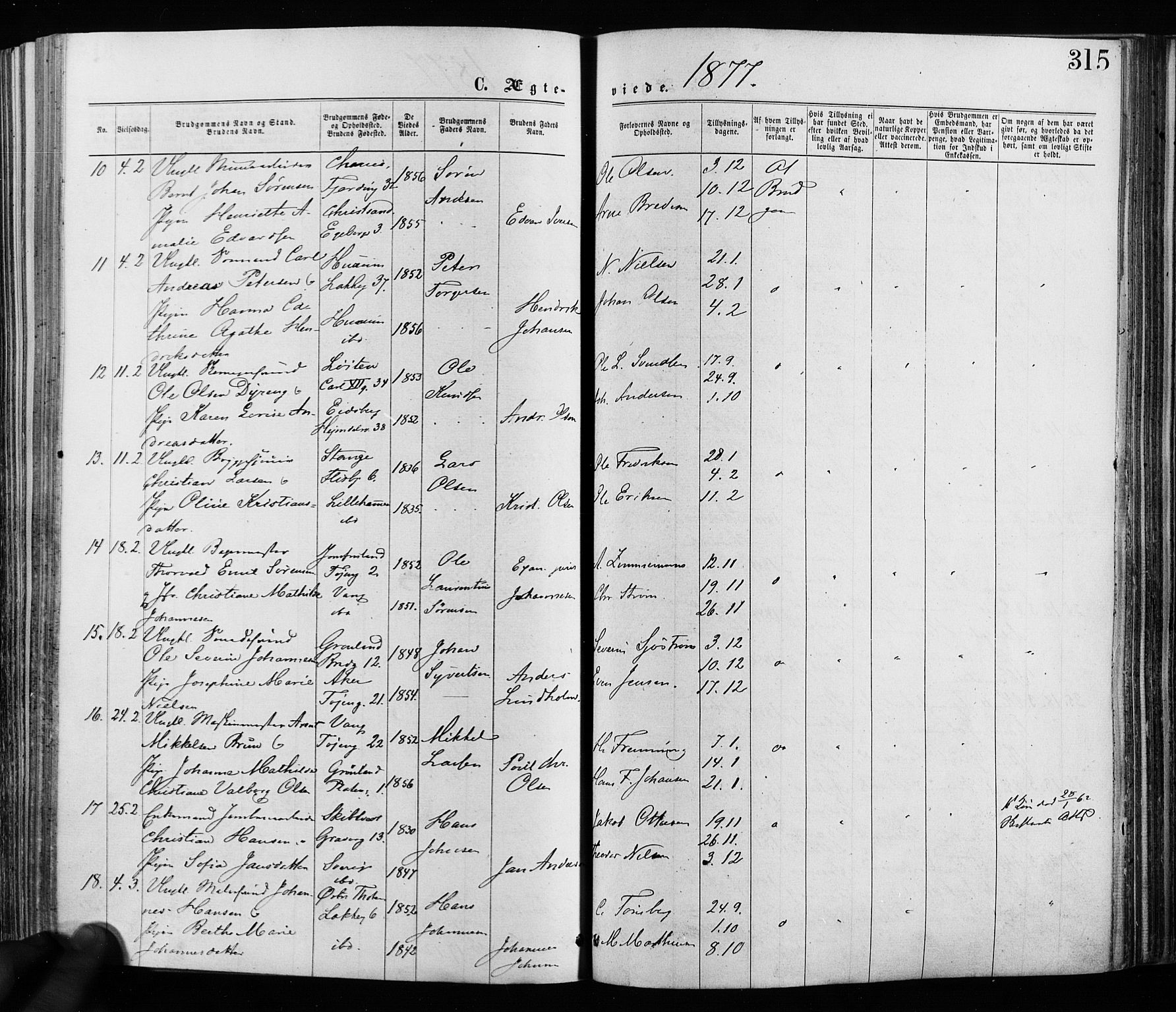 Grønland prestekontor Kirkebøker, AV/SAO-A-10848/F/Fa/L0005: Parish register (official) no. 5, 1869-1880, p. 315