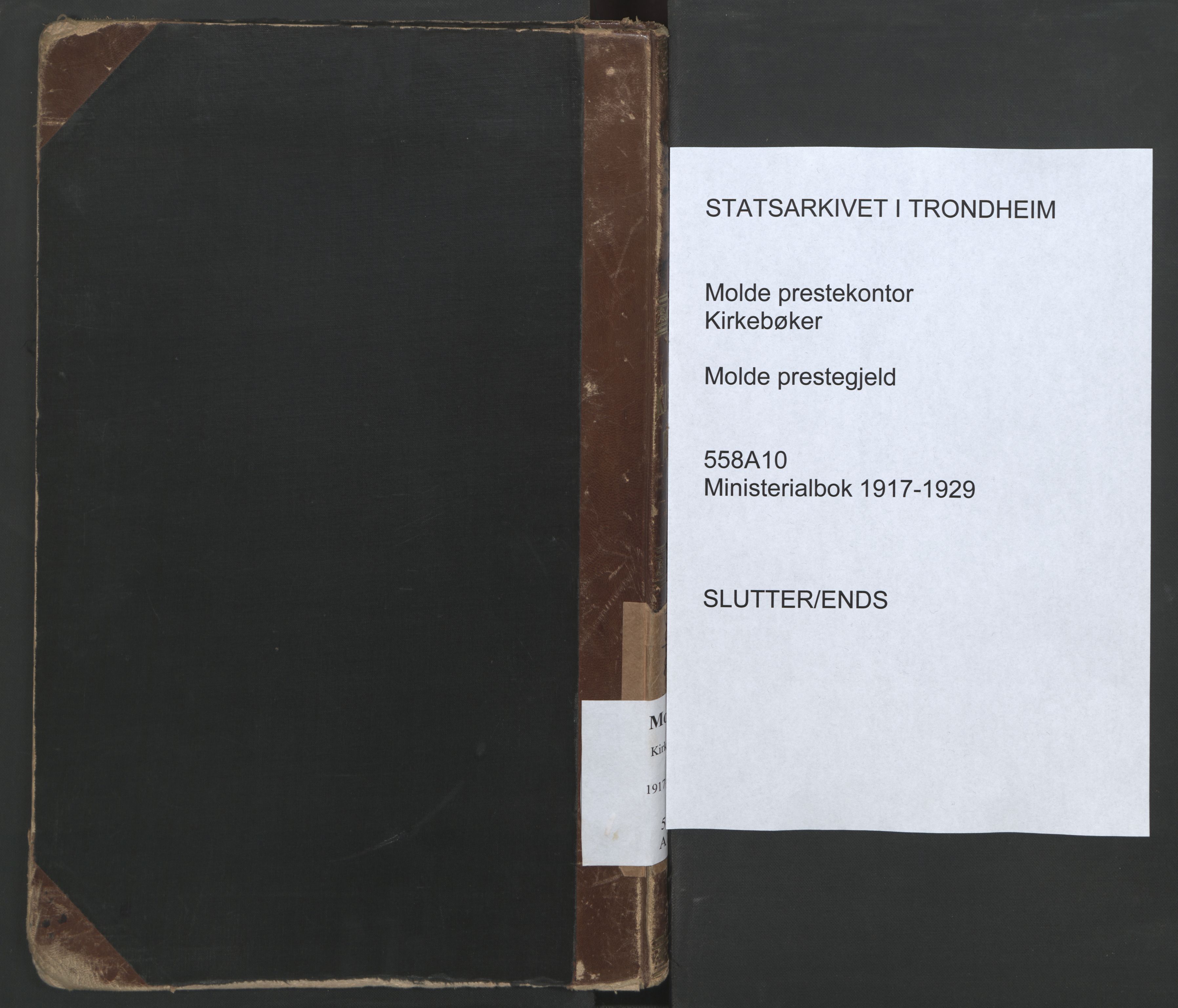 Ministerialprotokoller, klokkerbøker og fødselsregistre - Møre og Romsdal, AV/SAT-A-1454/558/L0696: Parish register (official) no. 558A10, 1917-1929