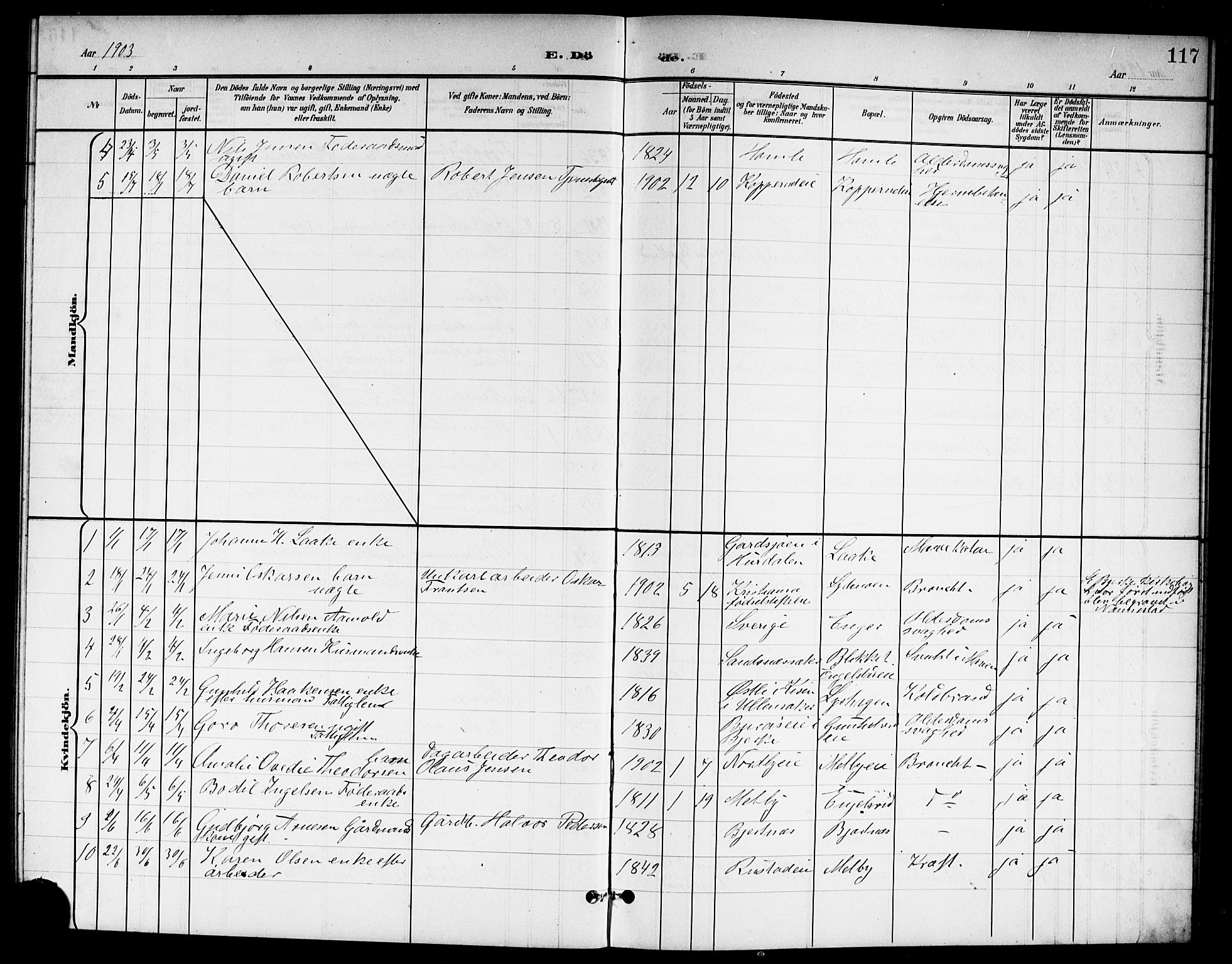 Nannestad prestekontor Kirkebøker, SAO/A-10414a/G/Ga/L0002: Parish register (copy) no. I 2, 1901-1913, p. 117