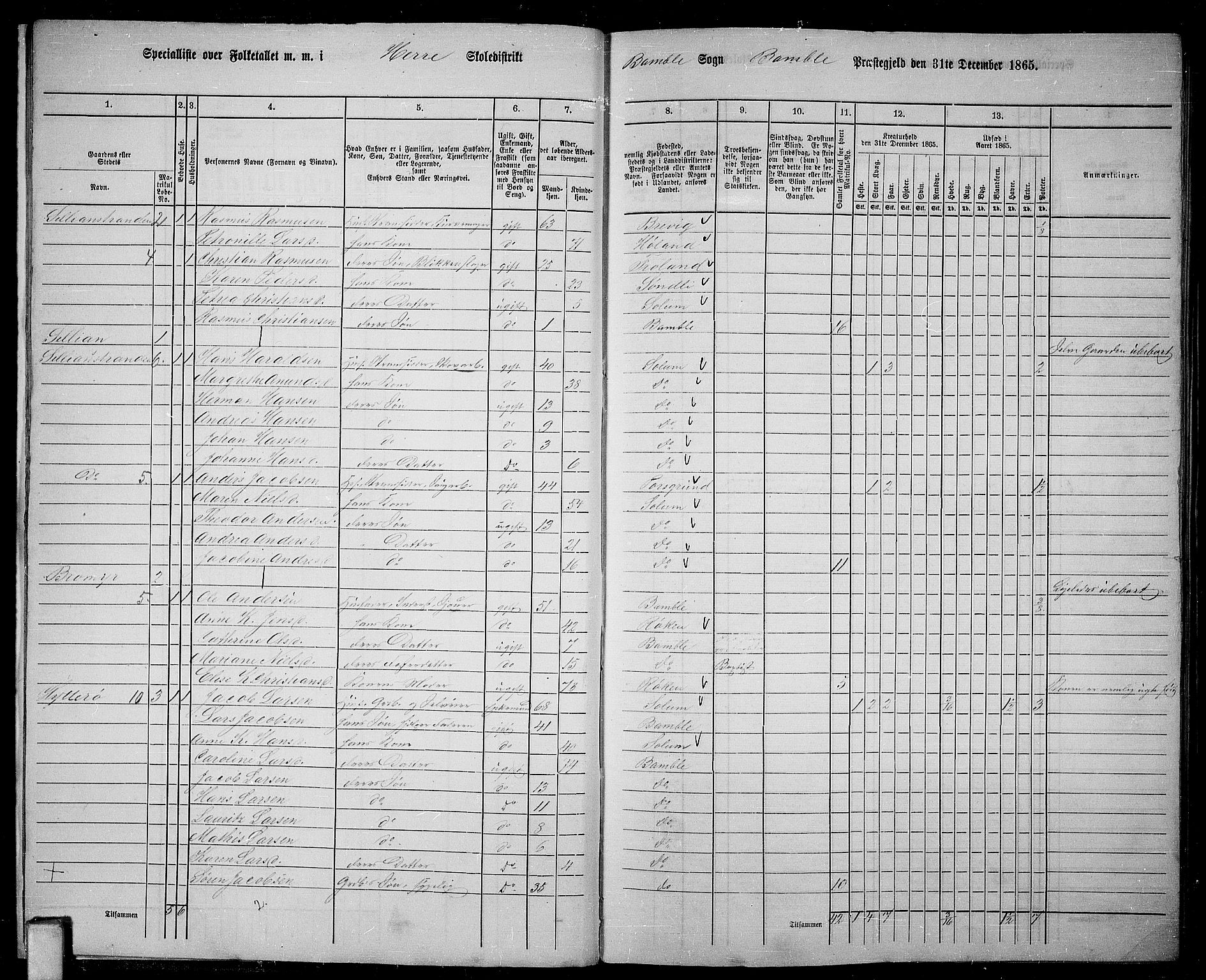 RA, 1865 census for Bamble, 1865, p. 15