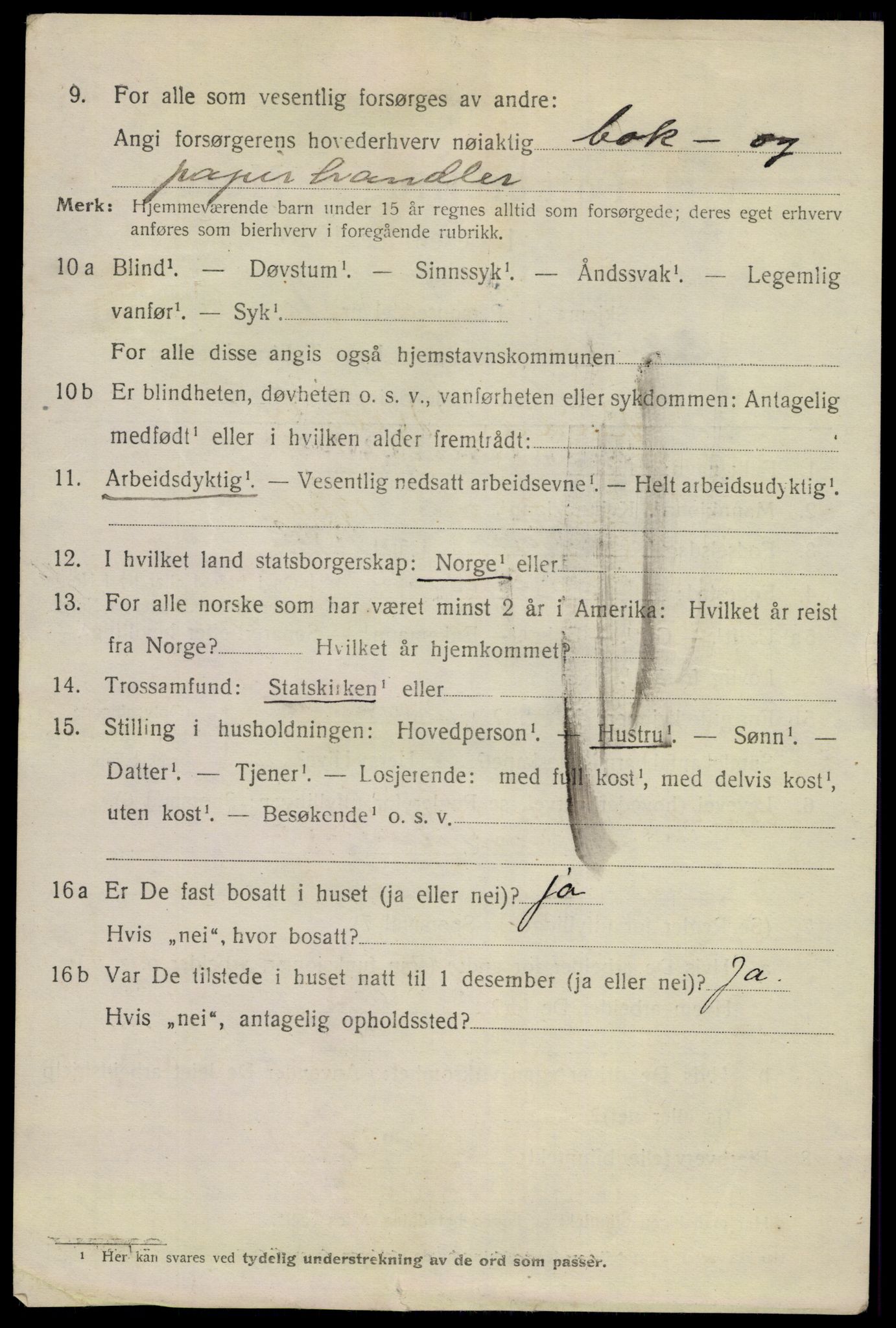 SAKO, 1920 census for Skien, 1920, p. 24799