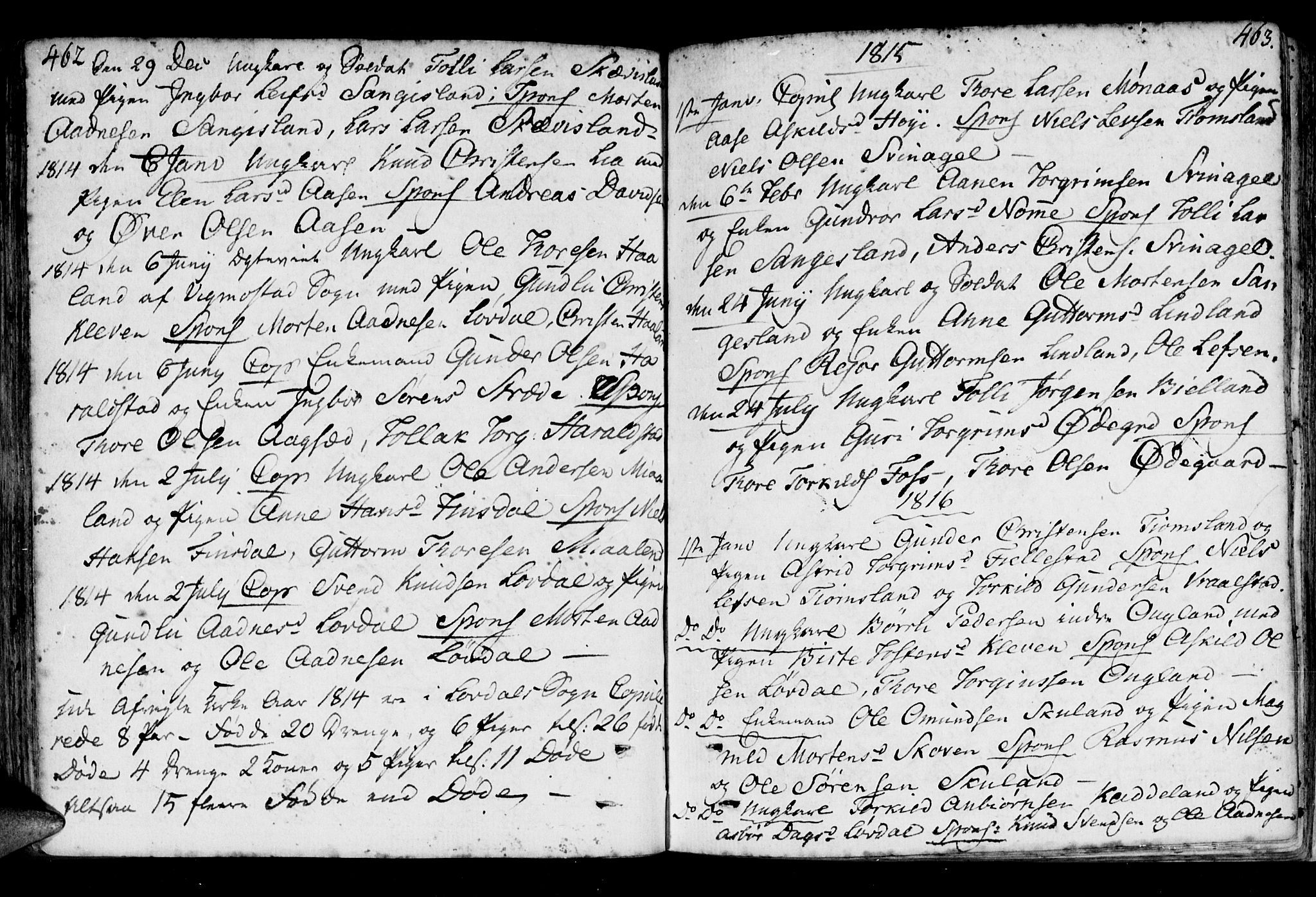 Holum sokneprestkontor, AV/SAK-1111-0022/F/Fa/Fab/L0004: Parish register (official) no. A 4, 1774-1847, p. 462-463