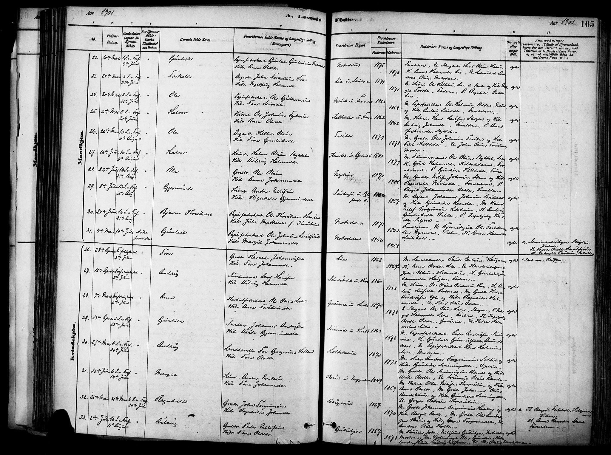 Heddal kirkebøker, AV/SAKO-A-268/F/Fa/L0008: Parish register (official) no. I 8, 1878-1903, p. 165