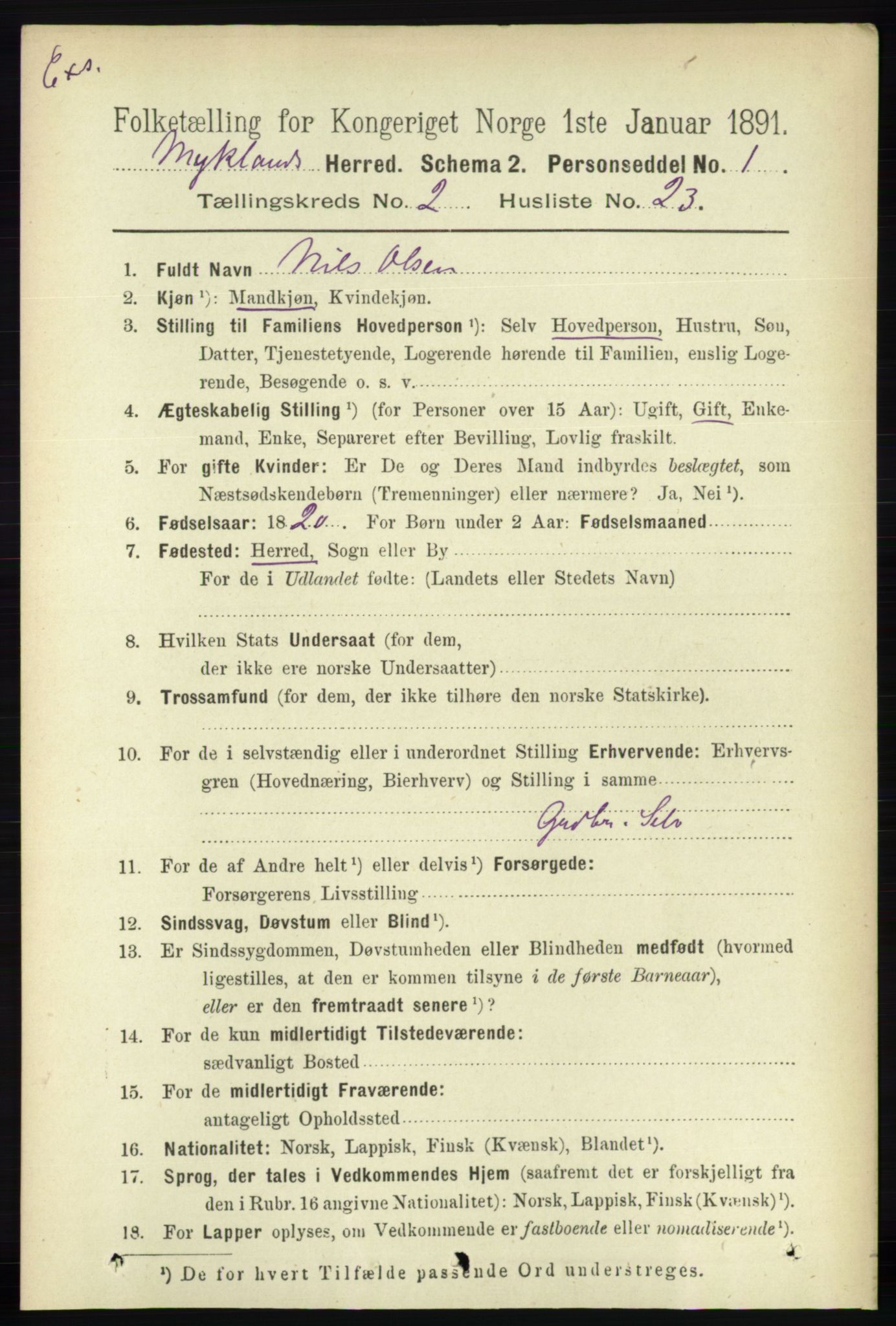 RA, Census 1891 for Nedenes amt: Gjenparter av personsedler for beslektede ektefeller, menn, 1891, p. 404