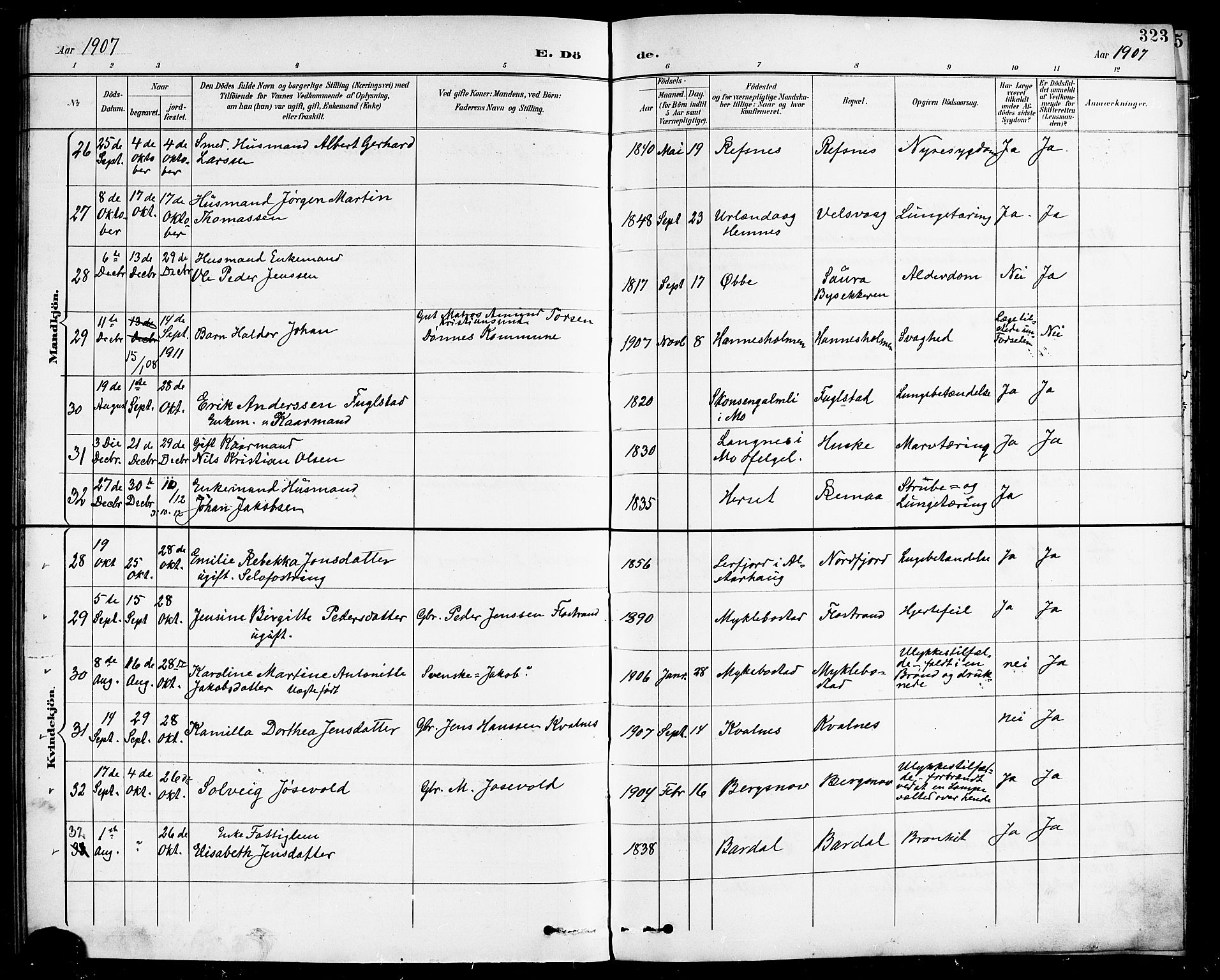 Ministerialprotokoller, klokkerbøker og fødselsregistre - Nordland, SAT/A-1459/838/L0559: Parish register (copy) no. 838C06, 1893-1910, p. 323