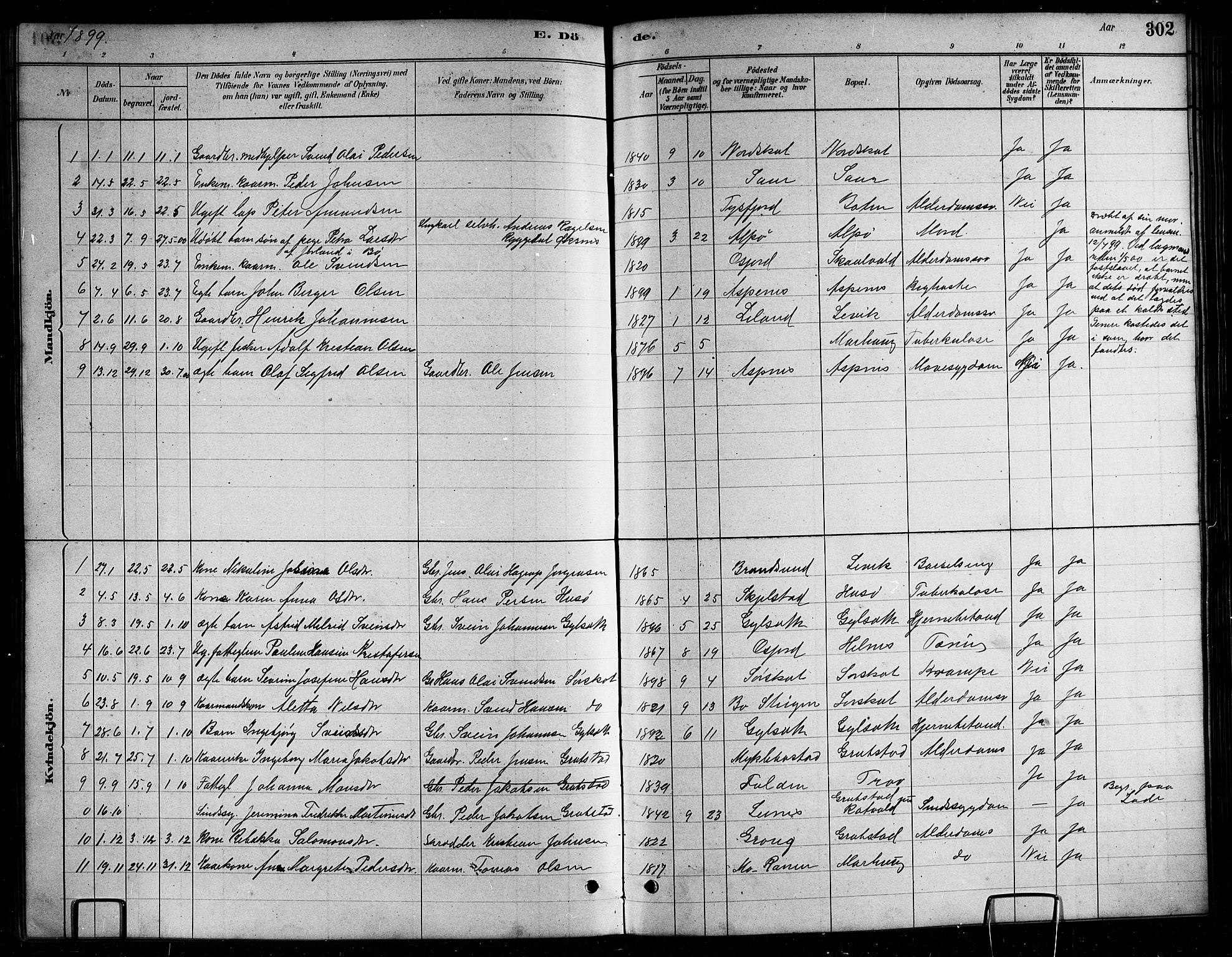 Ministerialprotokoller, klokkerbøker og fødselsregistre - Nordland, AV/SAT-A-1459/857/L0828: Parish register (copy) no. 857C03, 1879-1908, p. 302