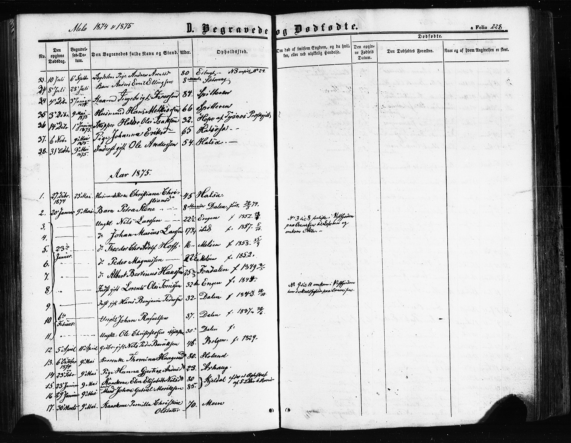 Ministerialprotokoller, klokkerbøker og fødselsregistre - Nordland, SAT/A-1459/841/L0607: Parish register (official) no. 841A11 /2, 1863-1877, p. 228