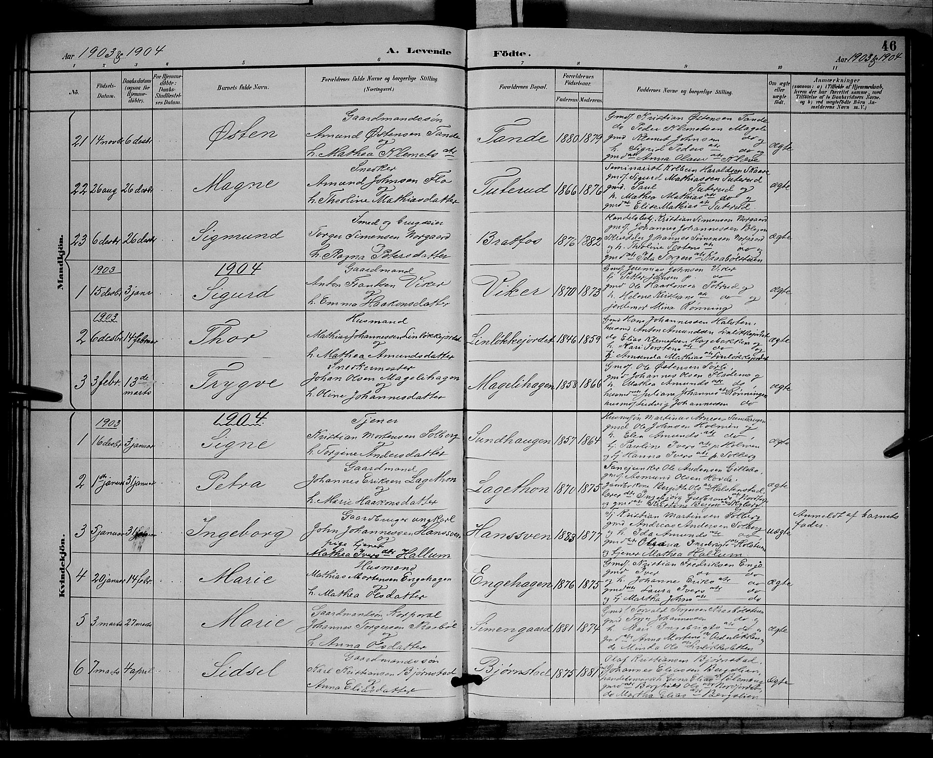 Øyer prestekontor, SAH/PREST-084/H/Ha/Hab/L0004: Parish register (copy) no. 4, 1894-1905, p. 46