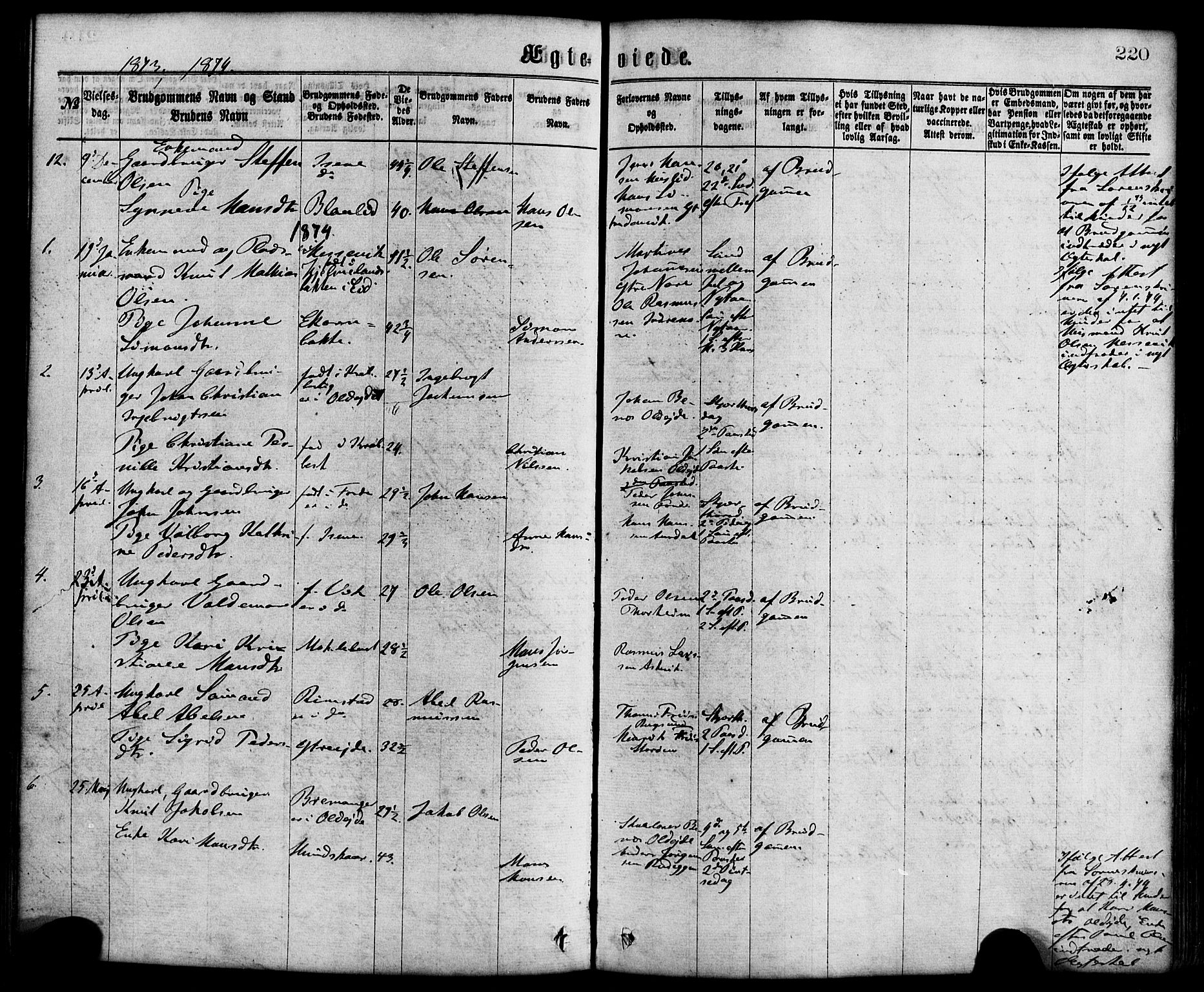 Davik sokneprestembete, AV/SAB-A-79701/H/Haa/Haaa/L0006: Parish register (official) no. A 6, 1867-1881, p. 220