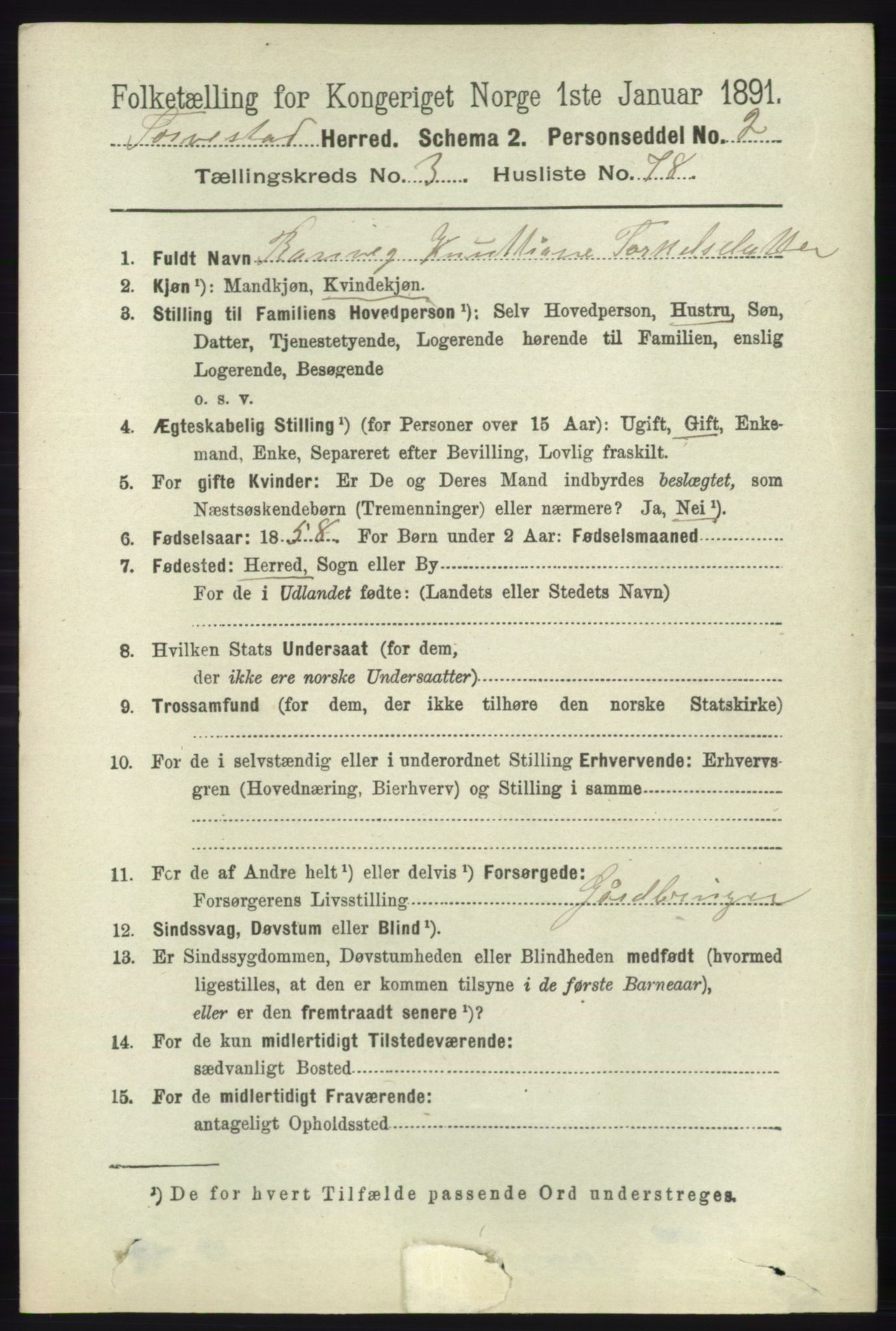 RA, 1891 census for 1152 Torvastad, 1891, p. 1419