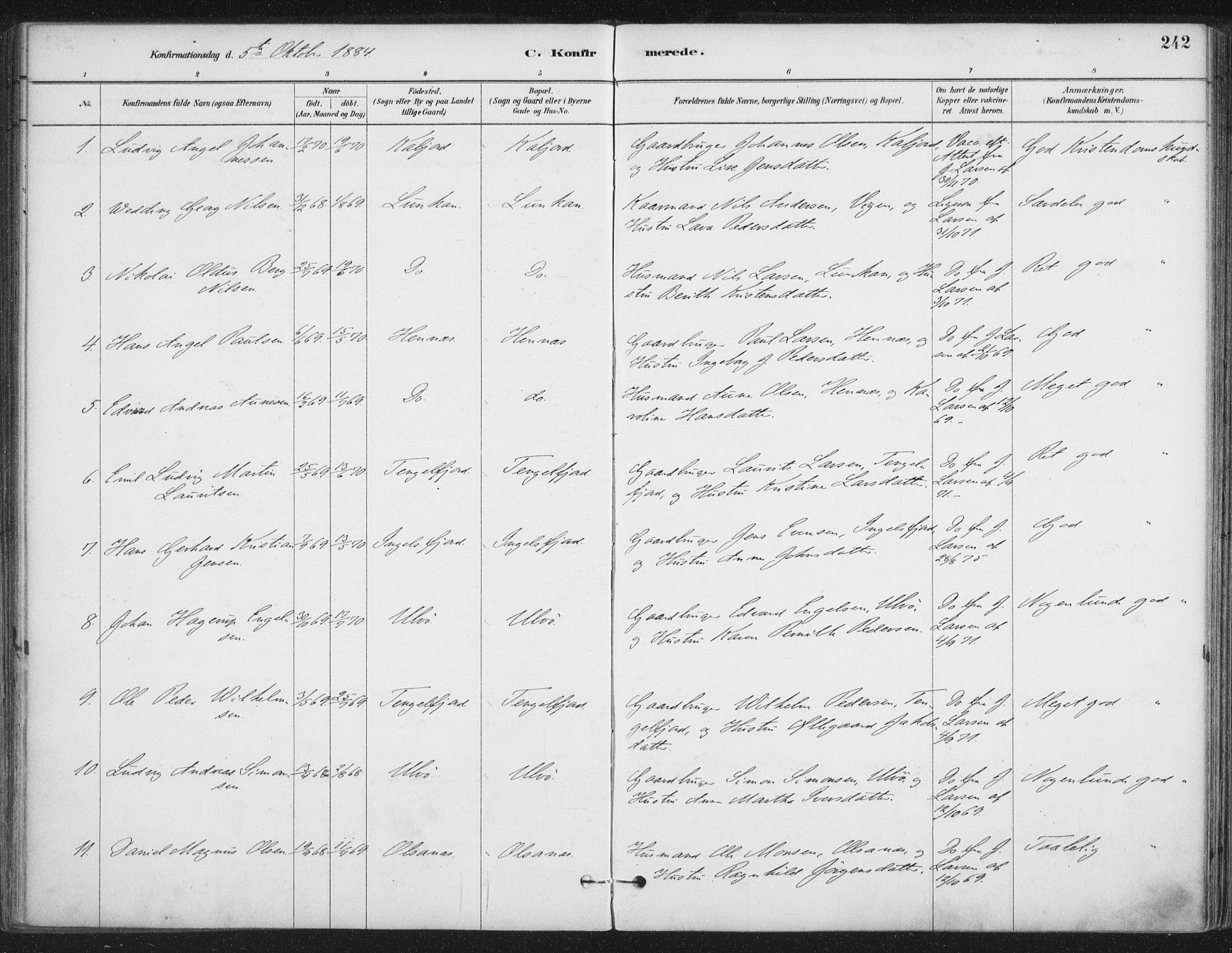 Ministerialprotokoller, klokkerbøker og fødselsregistre - Nordland, AV/SAT-A-1459/888/L1244: Parish register (official) no. 888A10, 1880-1890, p. 242