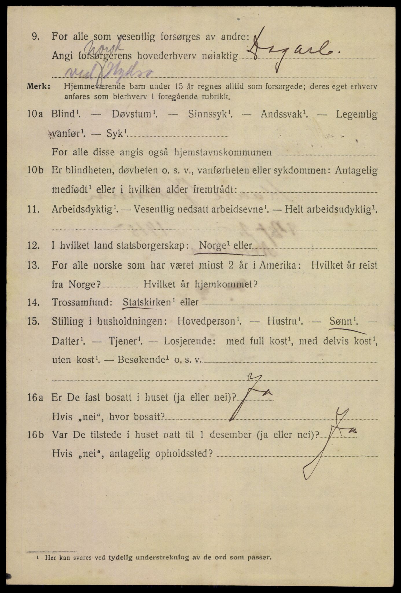 SAKO, 1920 census for Notodden, 1920, p. 6563