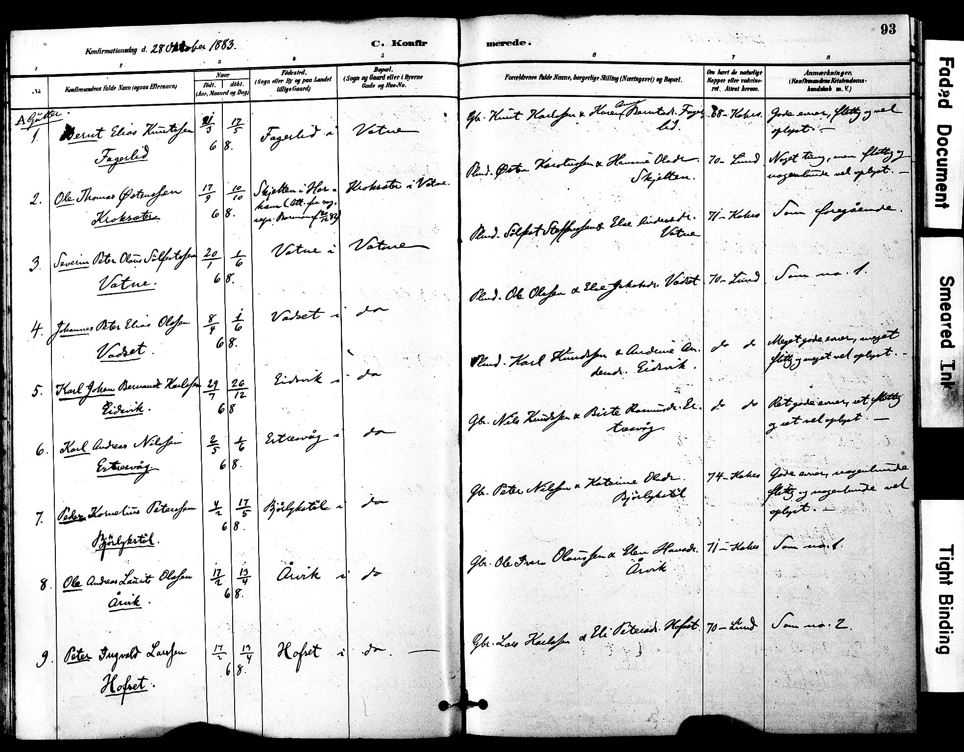 Ministerialprotokoller, klokkerbøker og fødselsregistre - Møre og Romsdal, SAT/A-1454/525/L0374: Parish register (official) no. 525A04, 1880-1899, p. 93