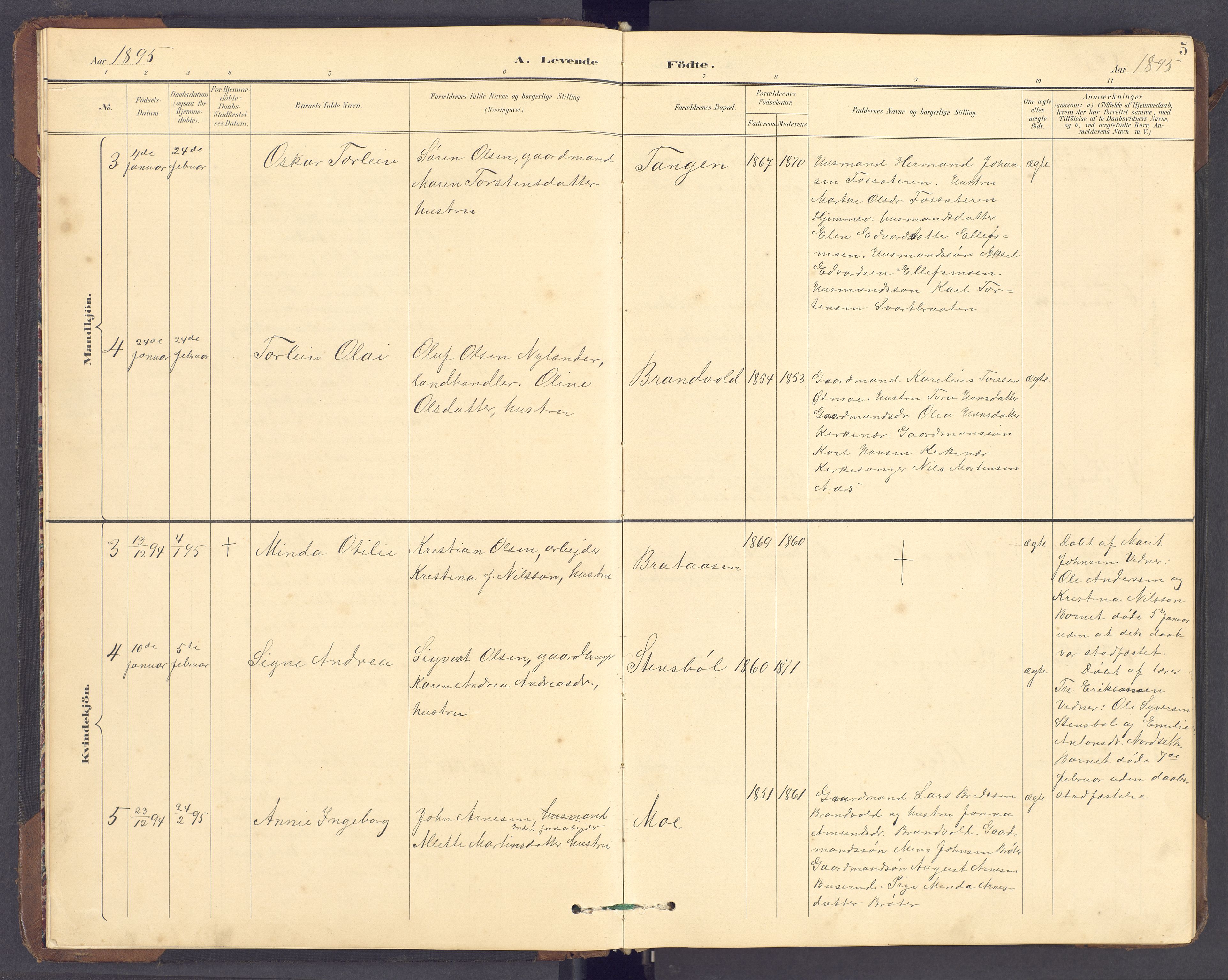 Brandval prestekontor, AV/SAH-PREST-034/H/Ha/Hab/L0002: Parish register (copy) no. 2, 1895-1904, p. 5