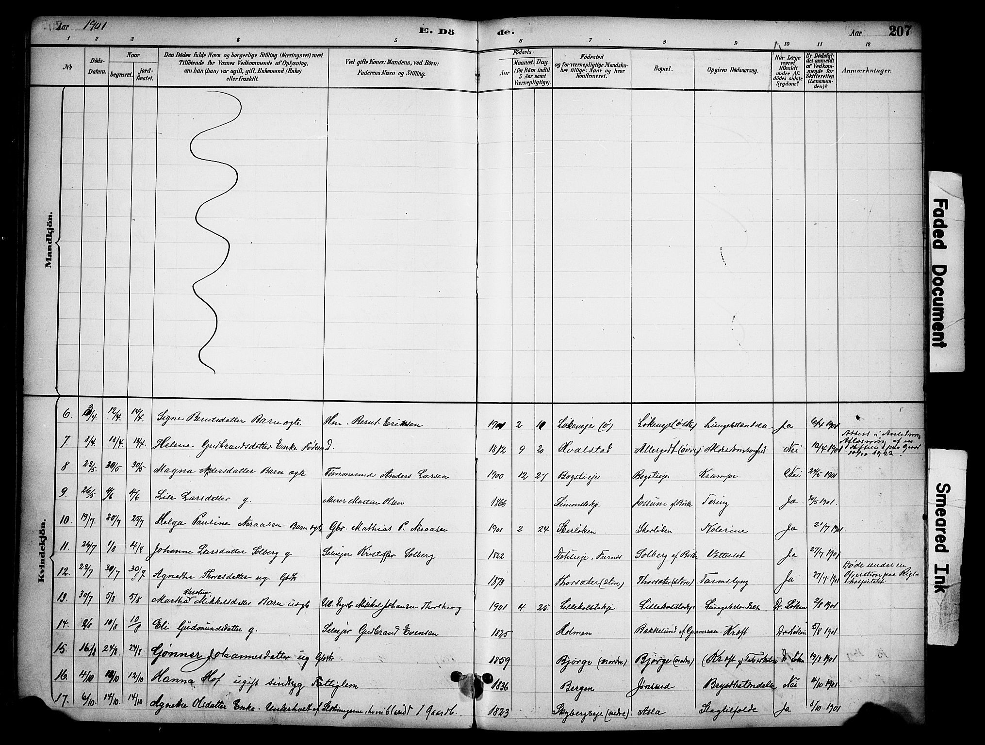 Ringsaker prestekontor, SAH/PREST-014/K/Ka/L0016: Parish register (official) no. 16, 1891-1904, p. 207