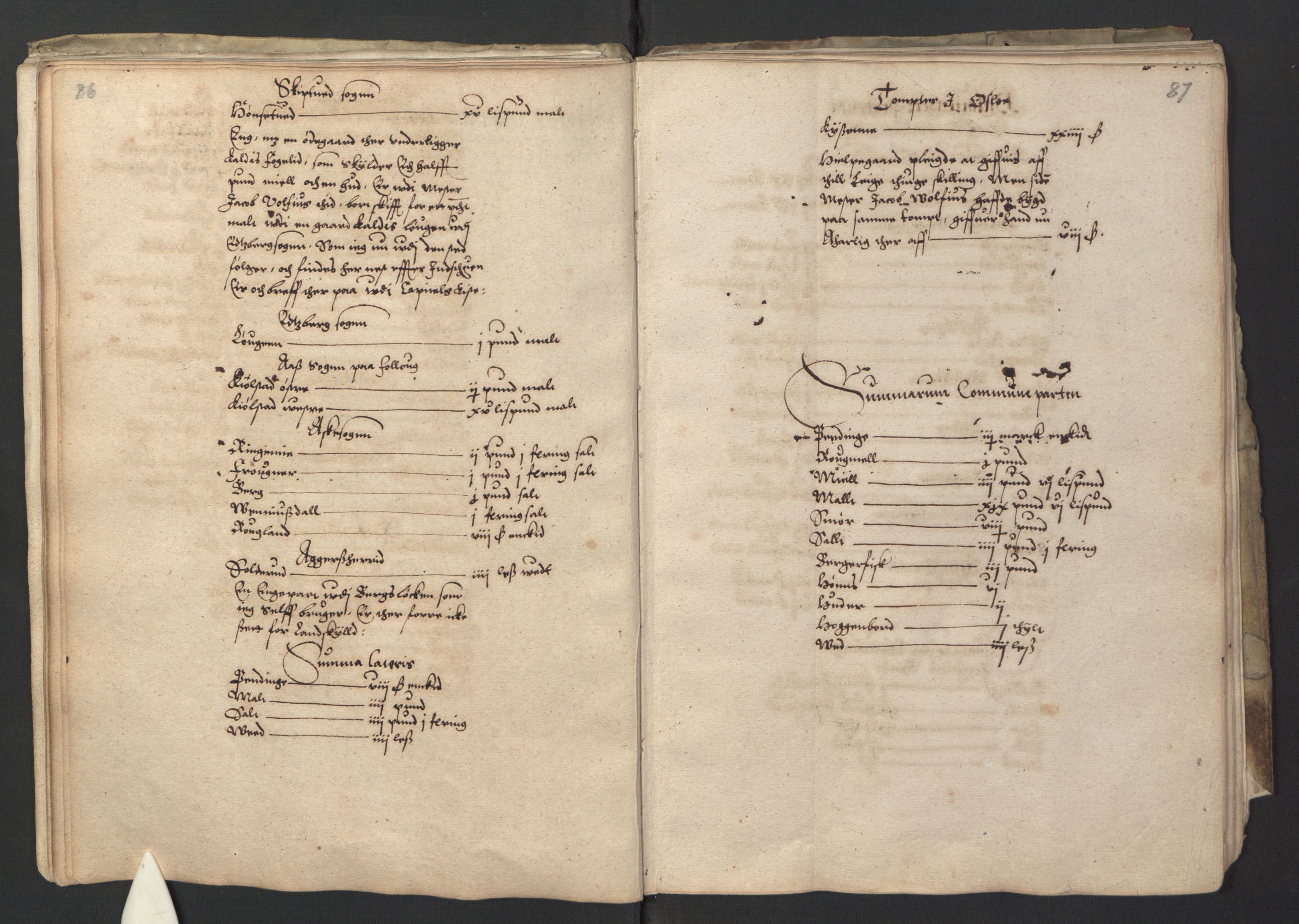 Stattholderembetet 1572-1771, AV/RA-EA-2870/Ek/L0001/0001: Jordebøker før 1624 og til utligning av garnisonsskatt 1624-1626: / Jordebok for Oslo kapitel, 1595, p. 50