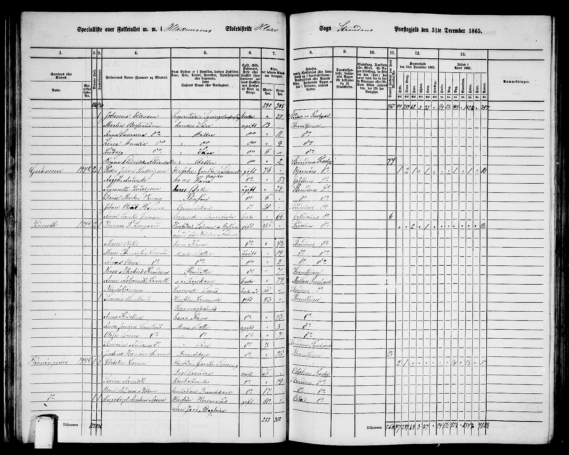 RA, 1865 census for Strinda, 1865, p. 35