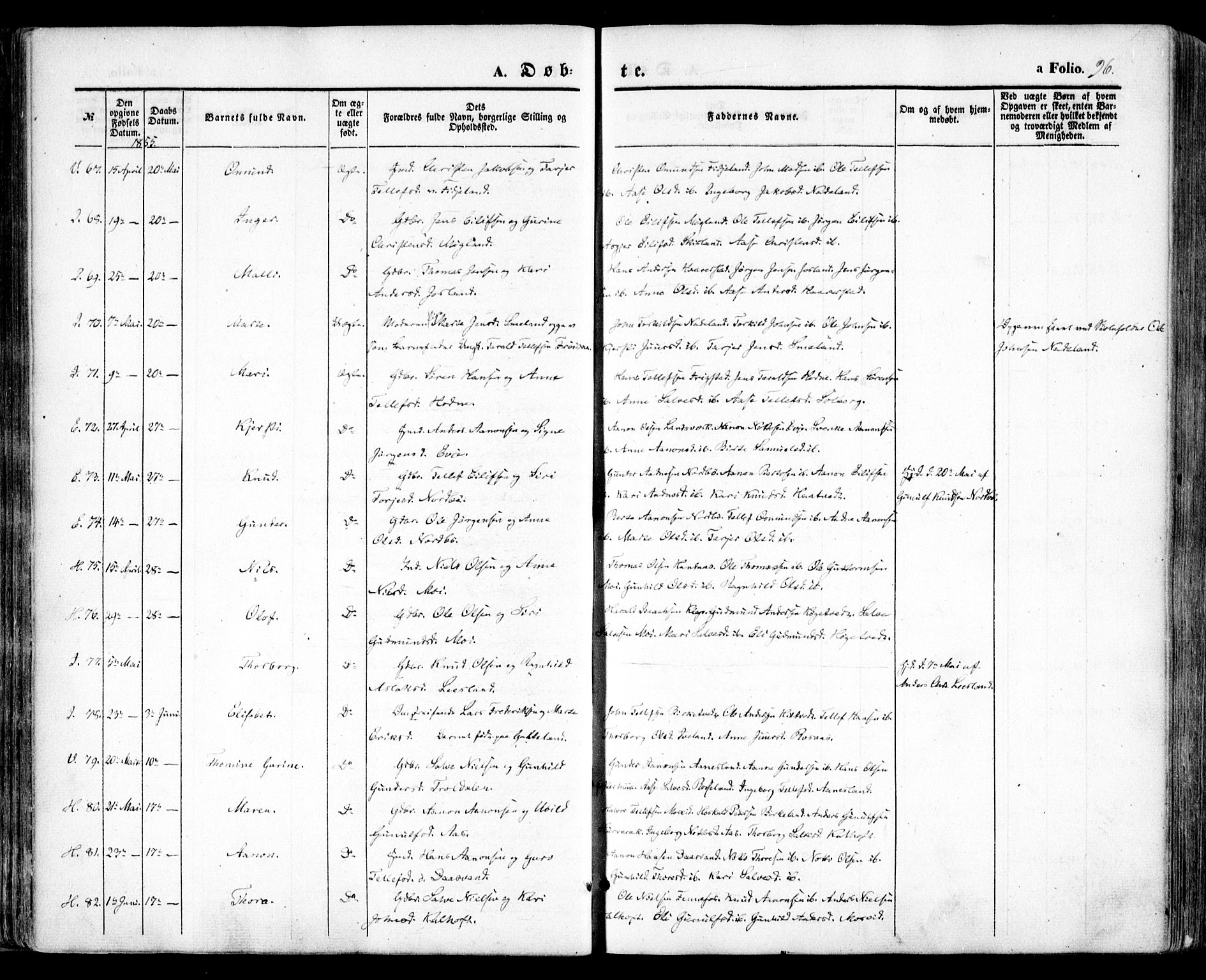 Evje sokneprestkontor, AV/SAK-1111-0008/F/Fa/Faa/L0005: Parish register (official) no. A 5, 1843-1865, p. 96