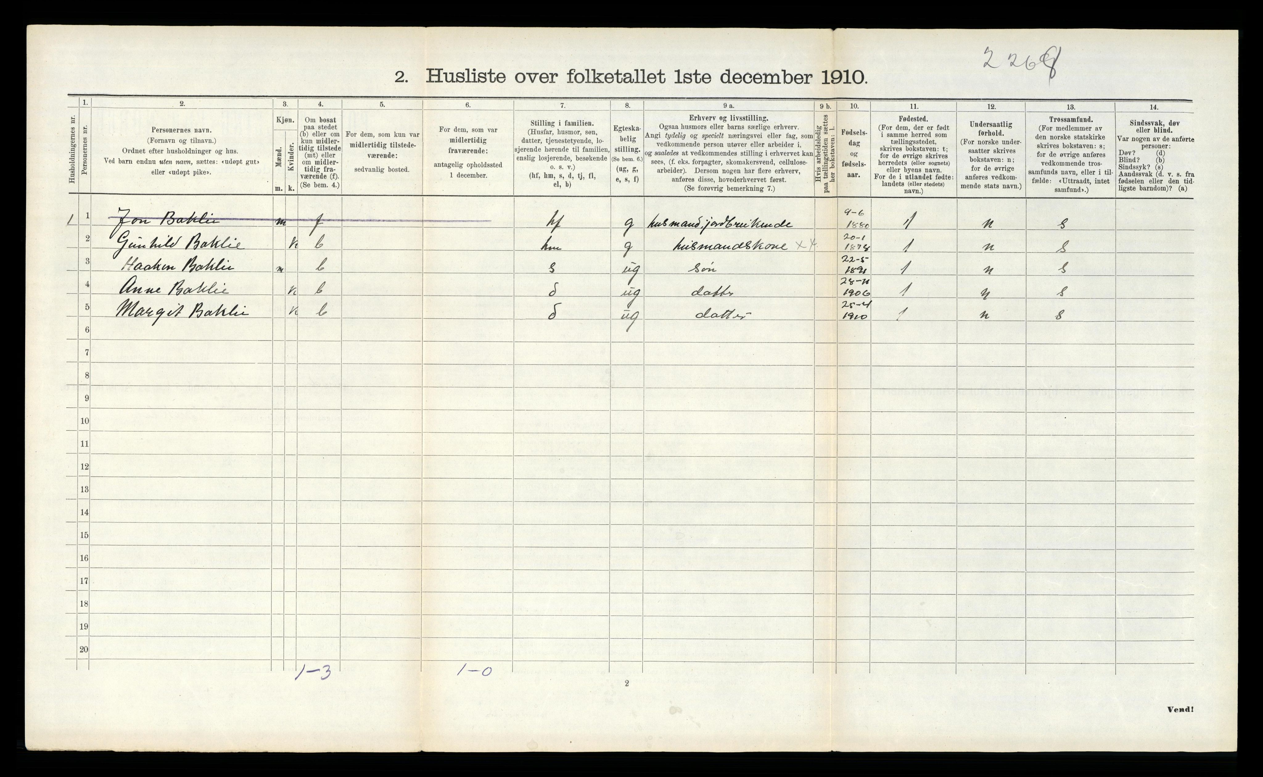 RA, 1910 census for Vinje, 1910, p. 117