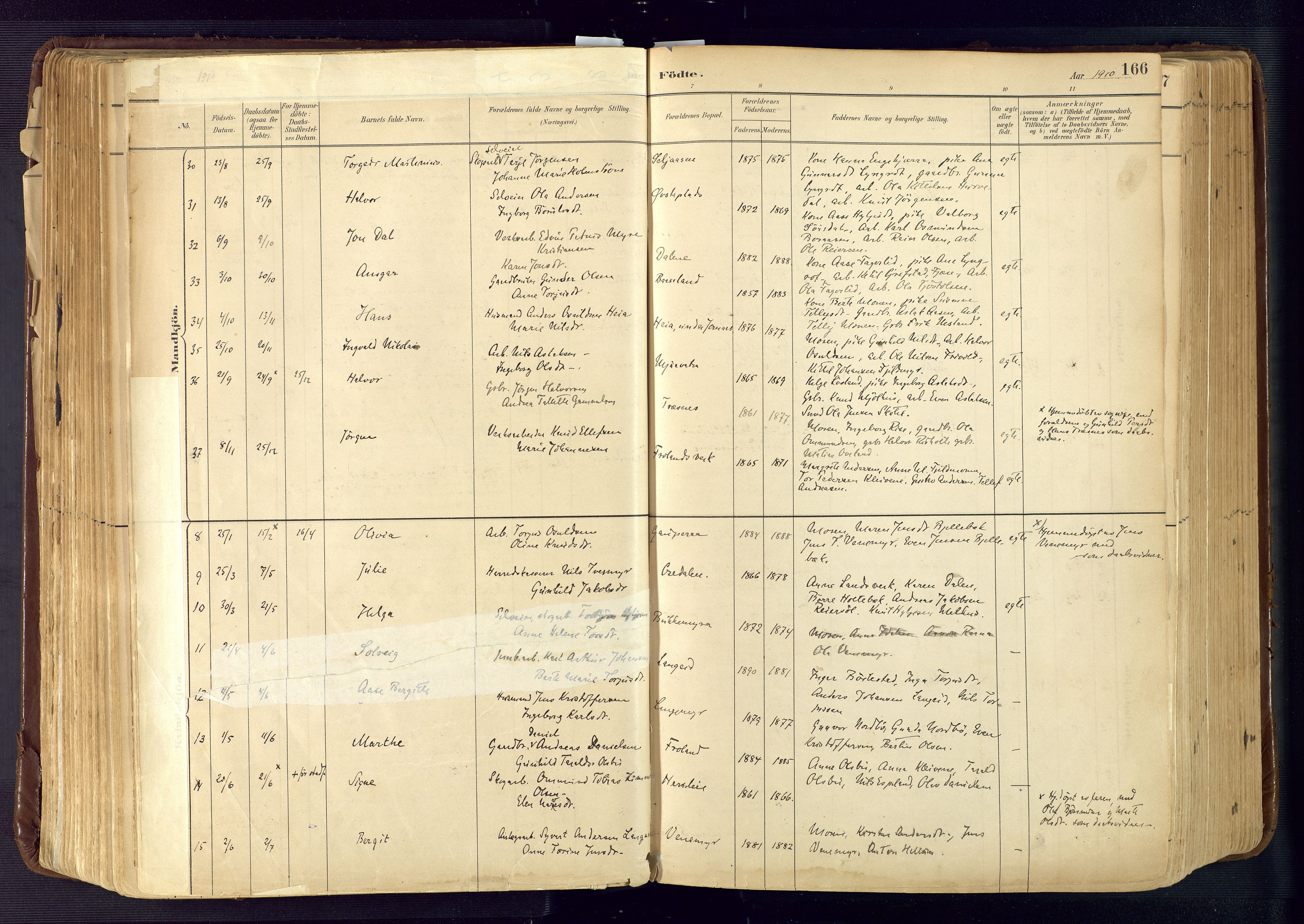 Froland sokneprestkontor, AV/SAK-1111-0013/F/Fa/L0005: Parish register (official) no. A 5, 1882-1921, p. 166