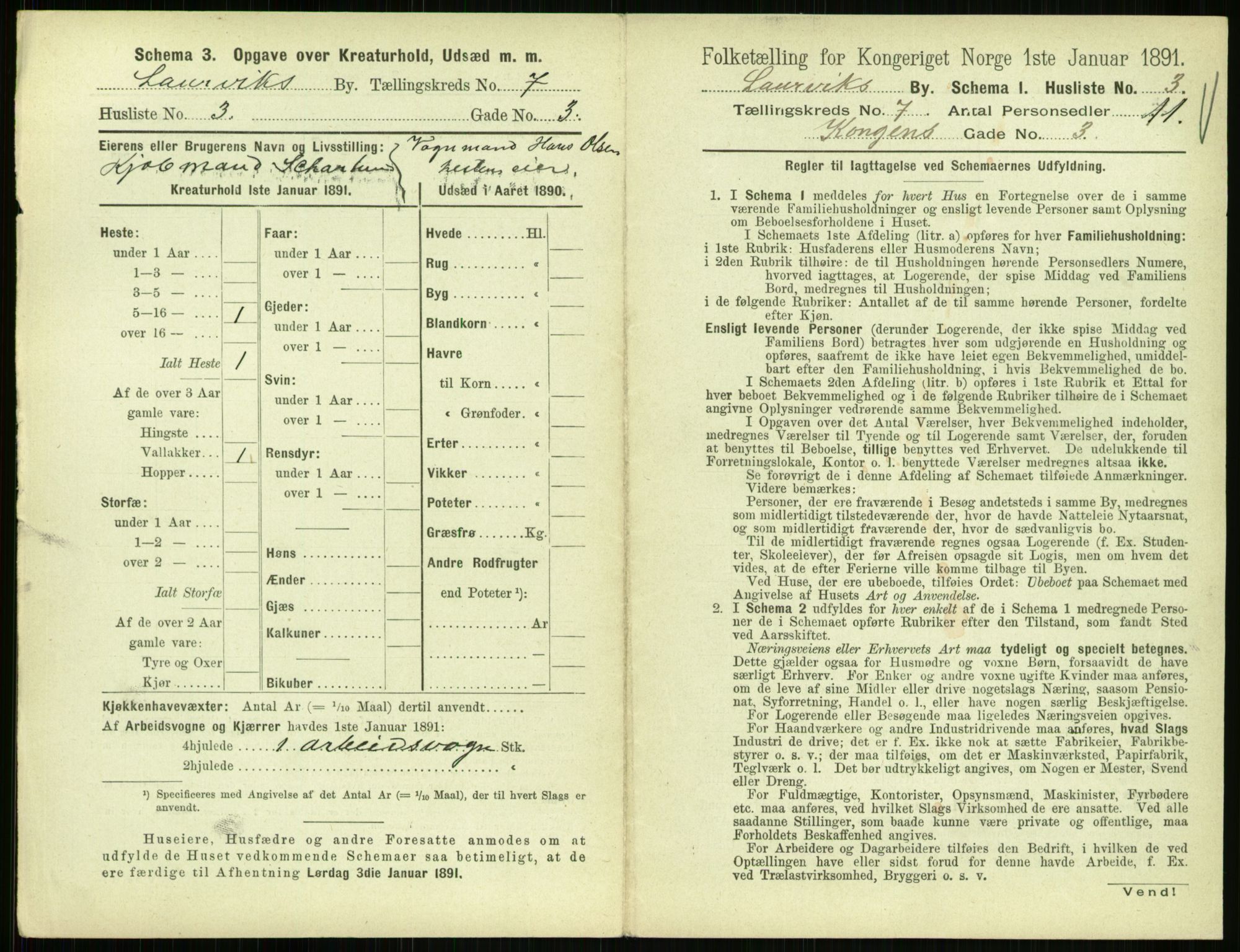 RA, 1891 census for 0707 Larvik, 1891, p. 911