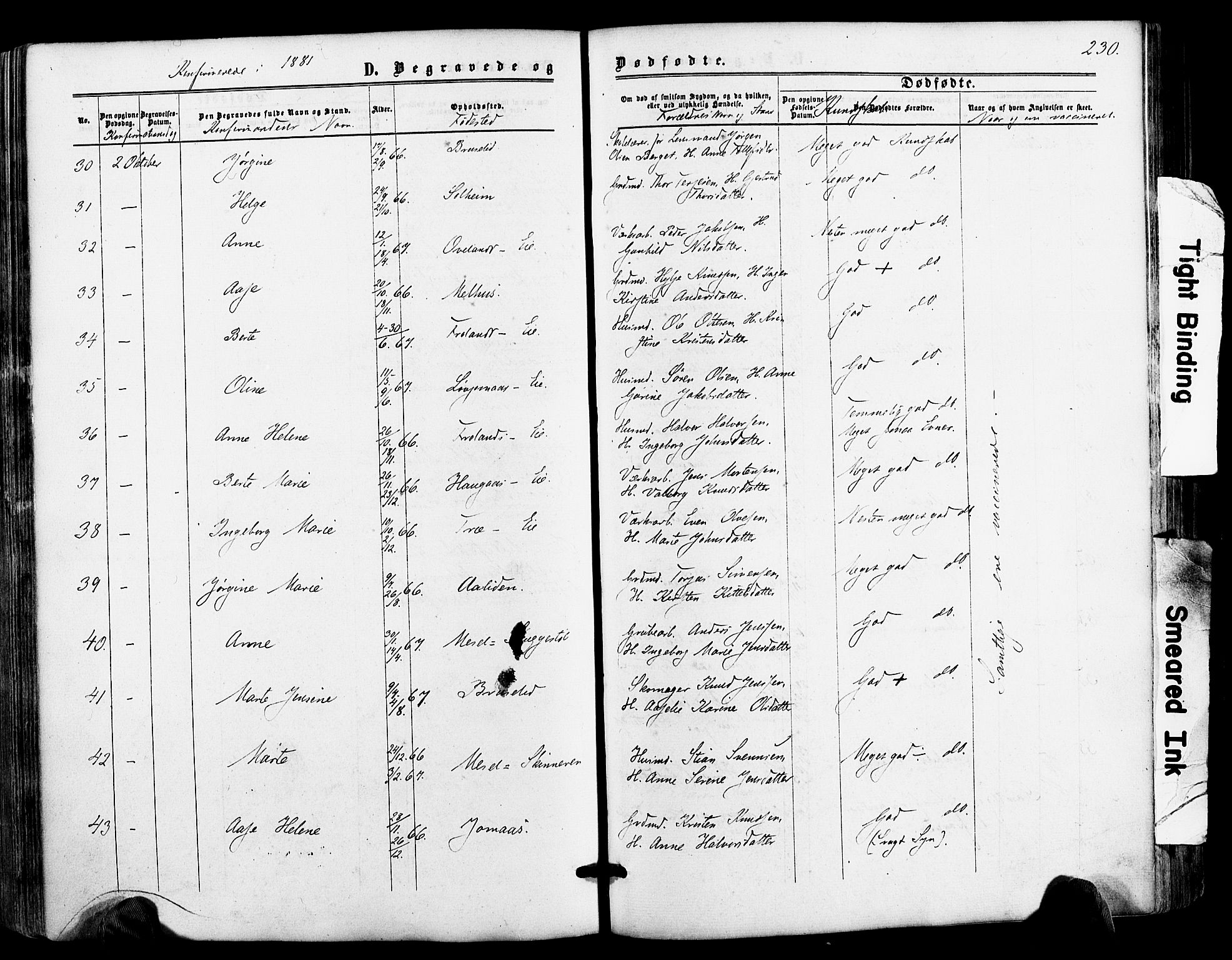 Froland sokneprestkontor, AV/SAK-1111-0013/F/Fa/L0003: Parish register (official) no. A 3, 1864-1881, p. 230