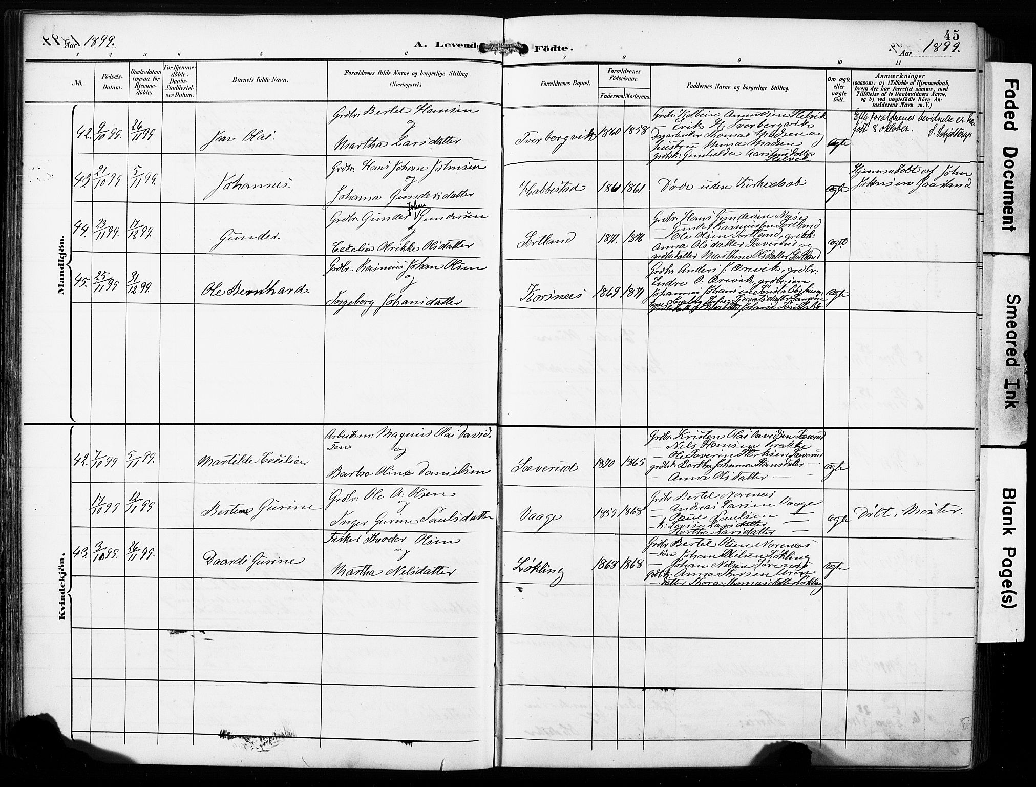 Finnås sokneprestembete, AV/SAB-A-99925/H/Ha/Haa/Haac/L0002: Parish register (official) no. C 2, 1895-1904, p. 45