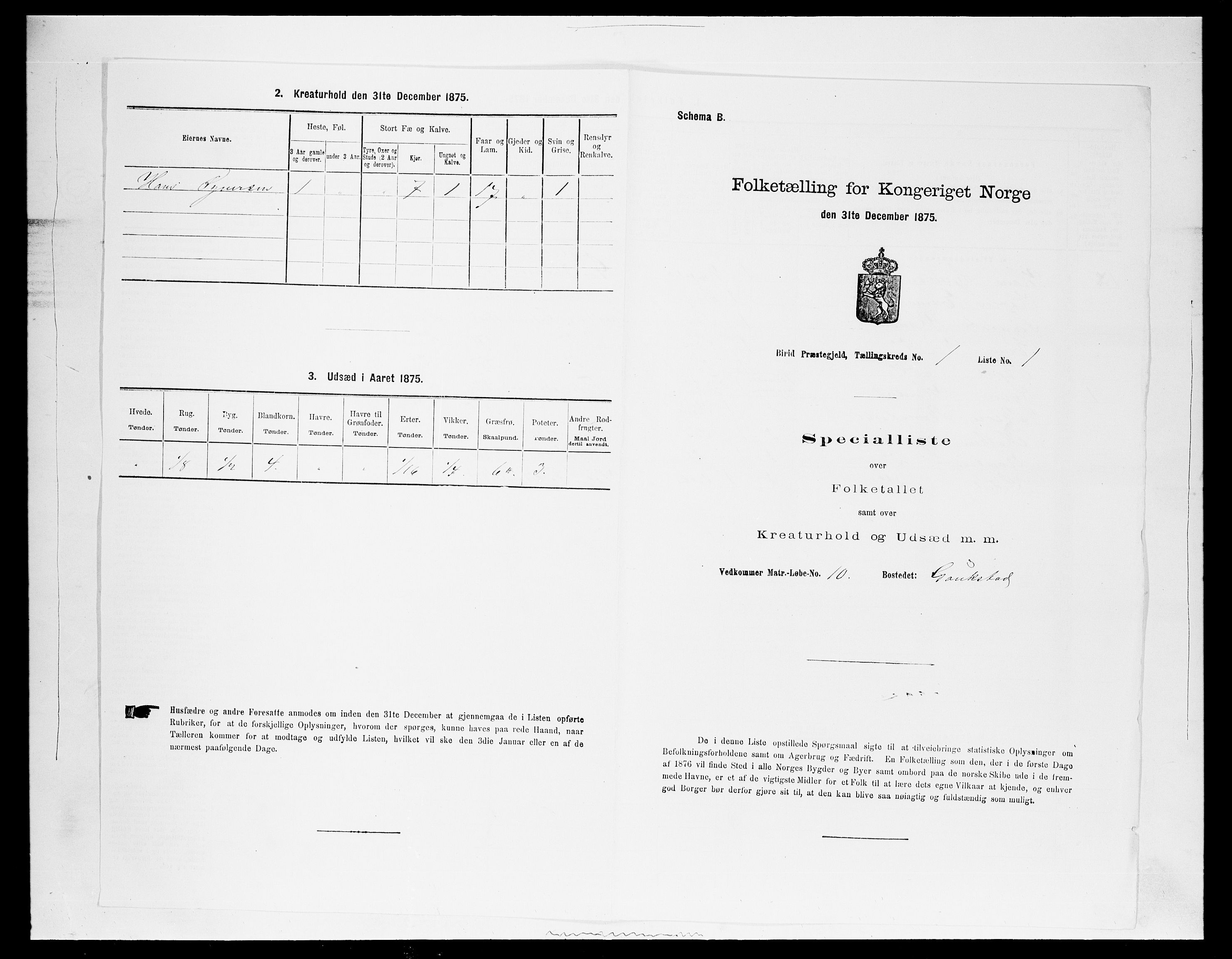 SAH, 1875 census for 0525P Biri, 1875, p. 291