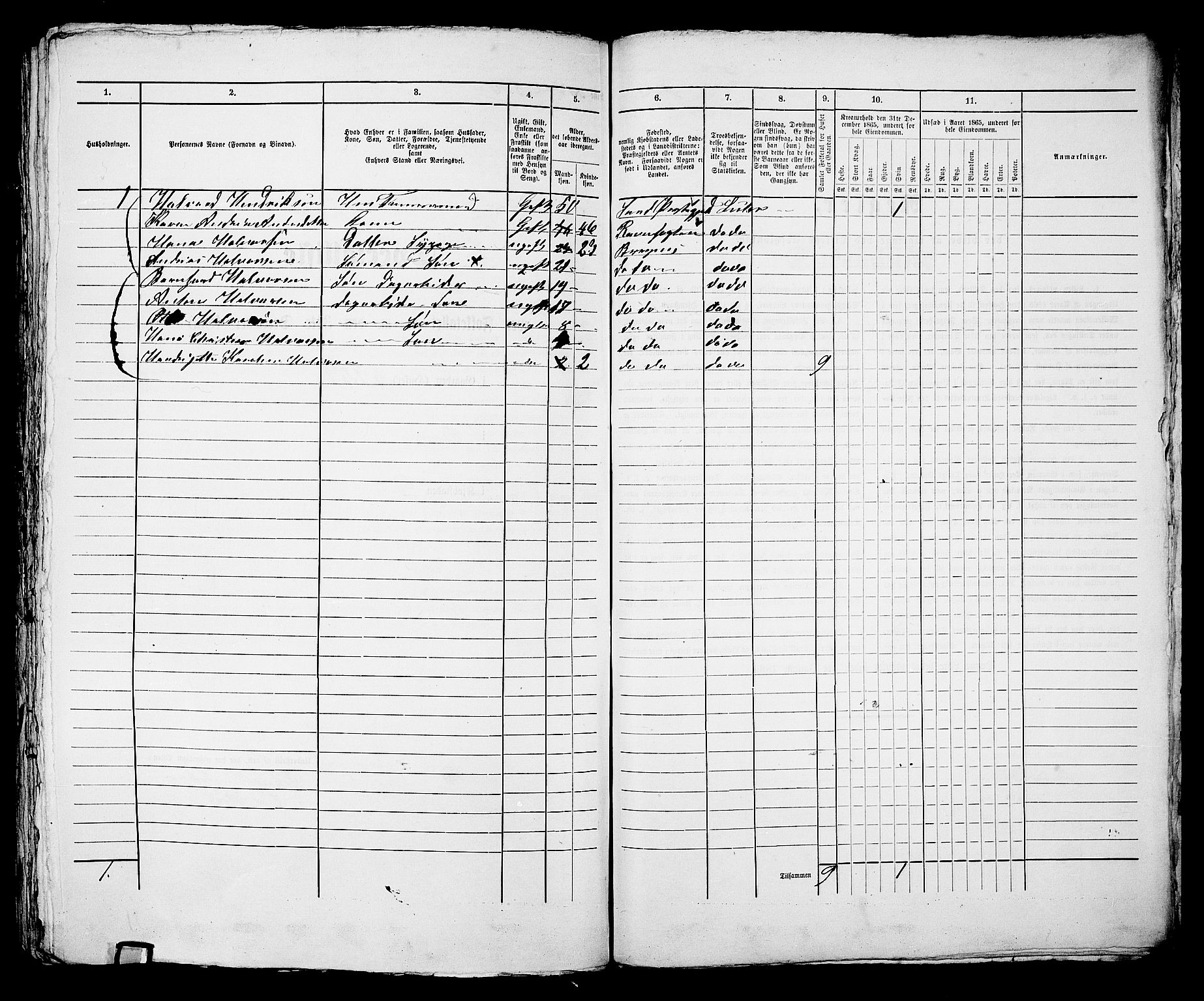 RA, 1865 census for Bragernes in Drammen, 1865, p. 1176
