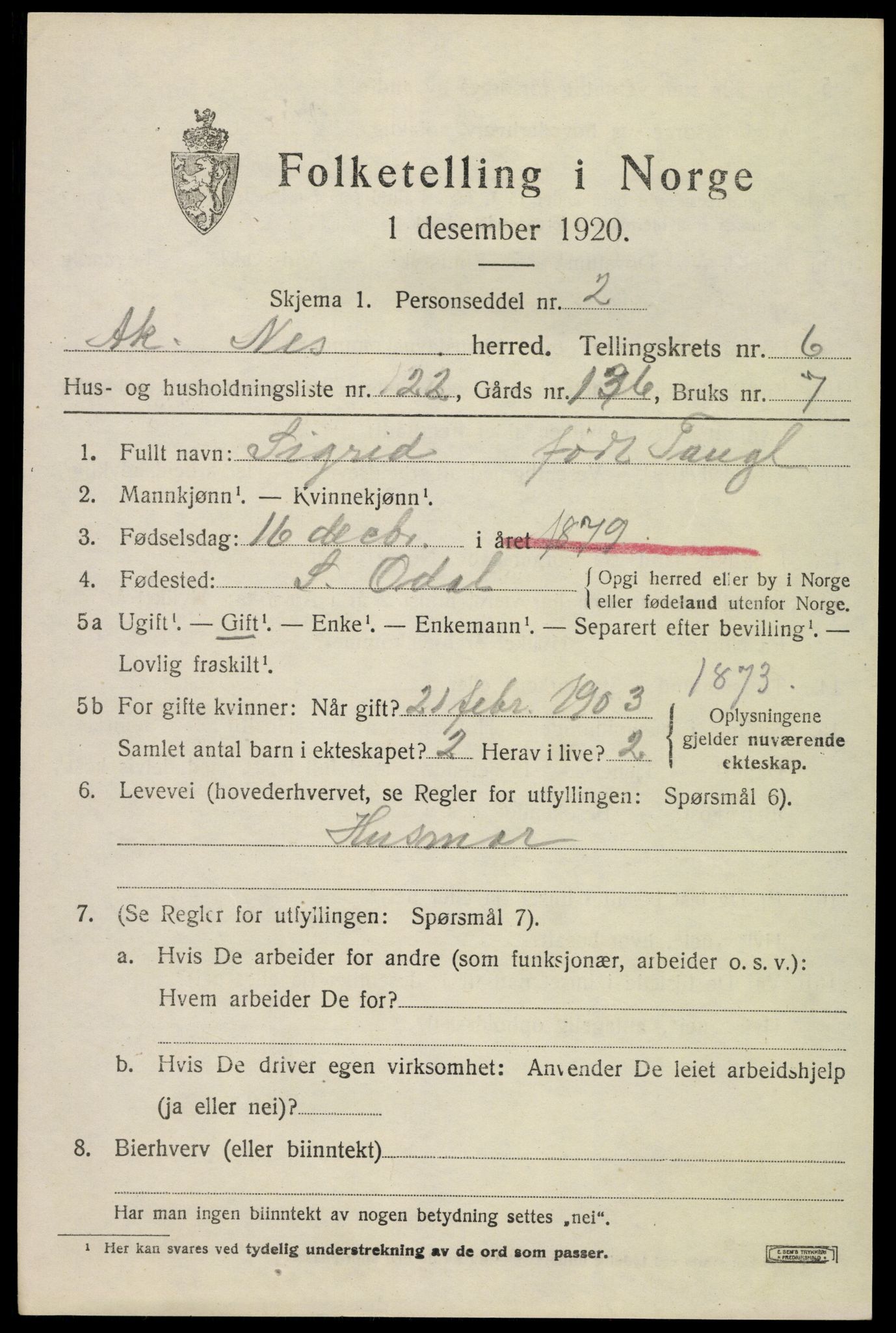 SAO, 1920 census for Nes, 1920, p. 7844