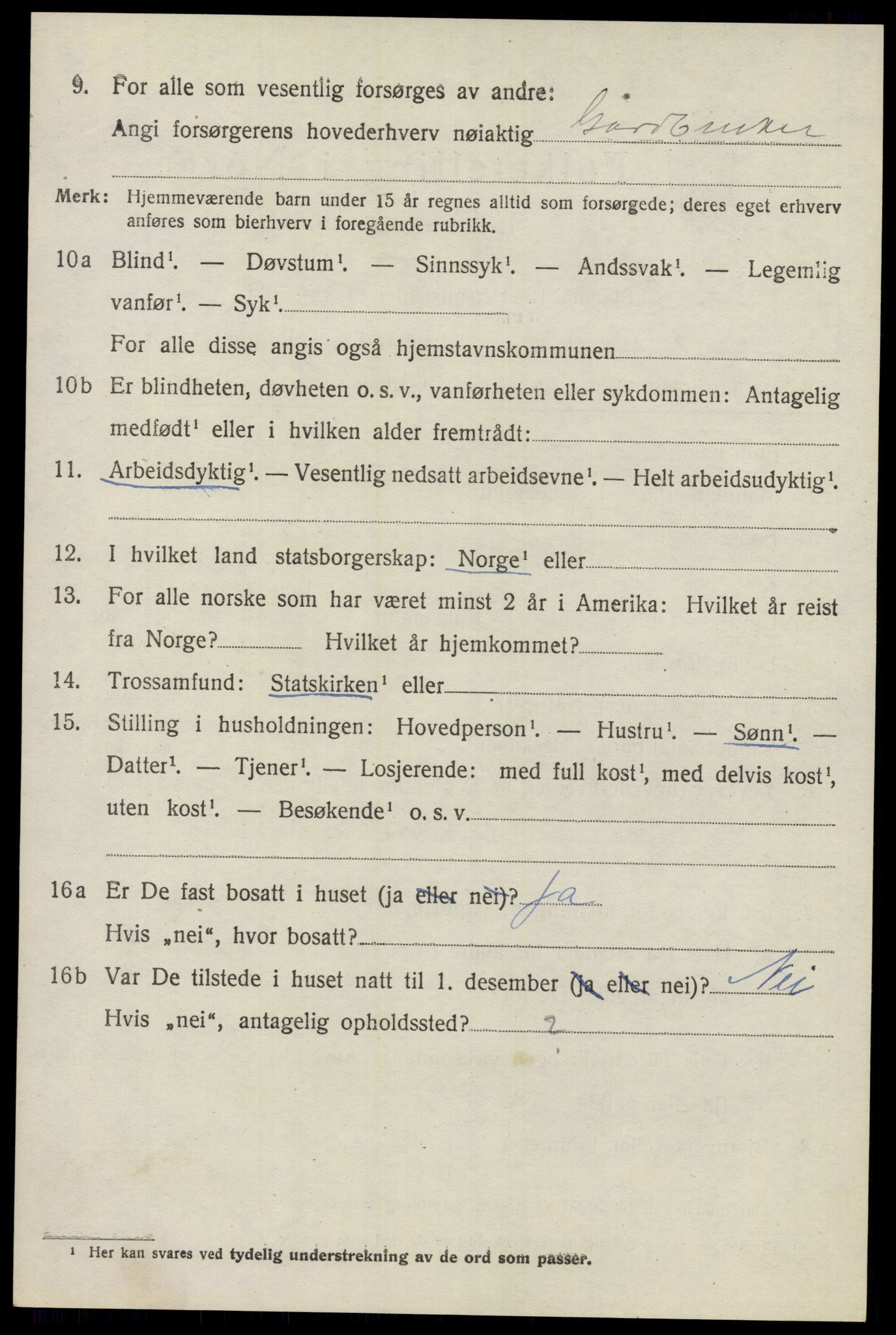 SAO, 1920 census for Nes, 1920, p. 5119