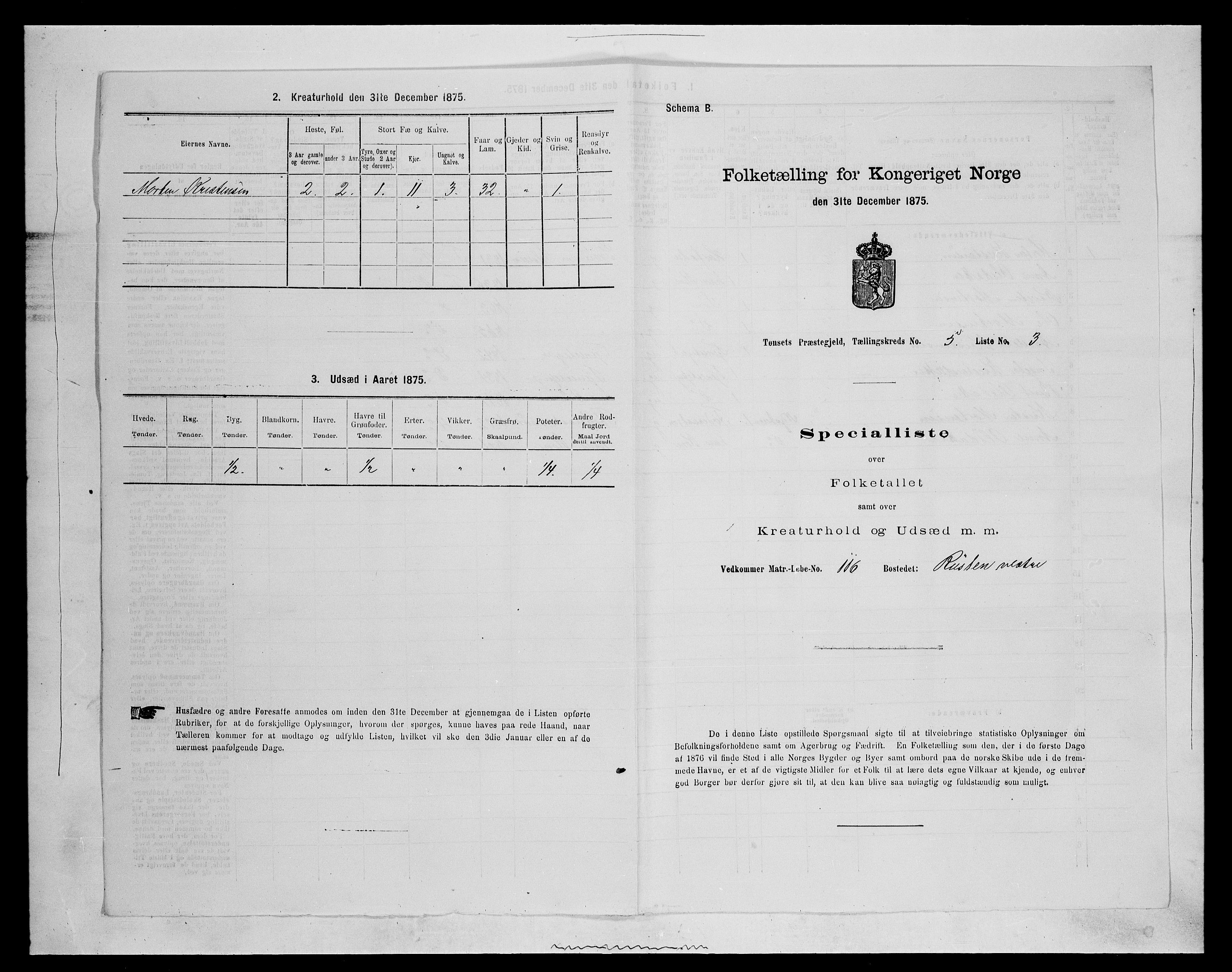 SAH, 1875 census for 0437P Tynset, 1875, p. 569