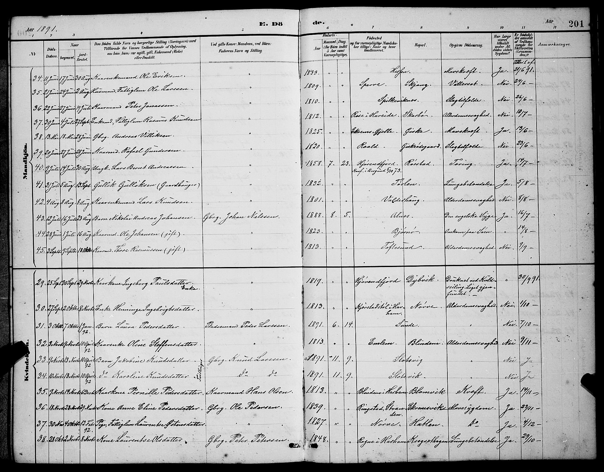 Ministerialprotokoller, klokkerbøker og fødselsregistre - Møre og Romsdal, SAT/A-1454/528/L0430: Parish register (copy) no. 528C11, 1884-1899, p. 201