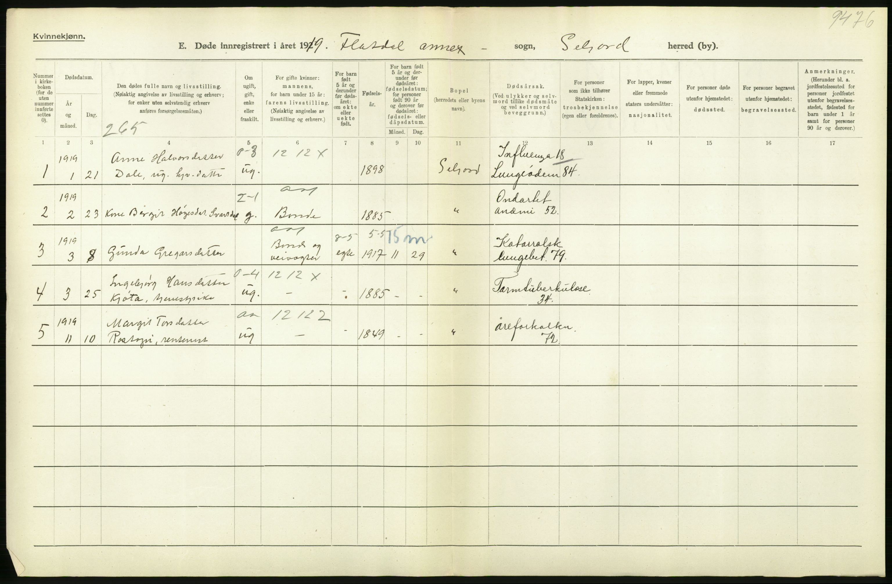 Statistisk sentralbyrå, Sosiodemografiske emner, Befolkning, AV/RA-S-2228/D/Df/Dfb/Dfbi/L0023: Telemark fylke: Døde. Bygder og byer., 1919, p. 314