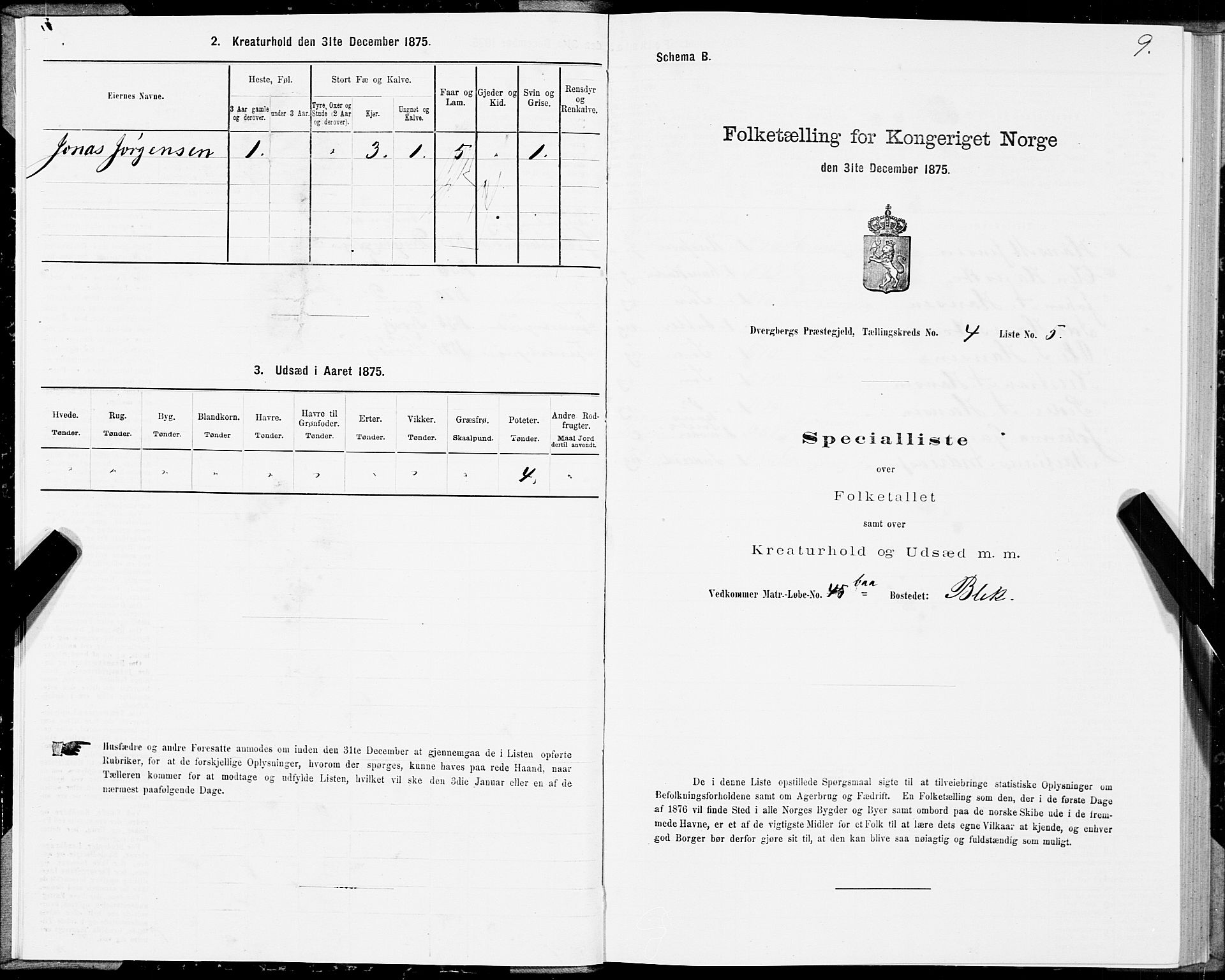 SAT, 1875 census for 1872P Dverberg, 1875, p. 3009