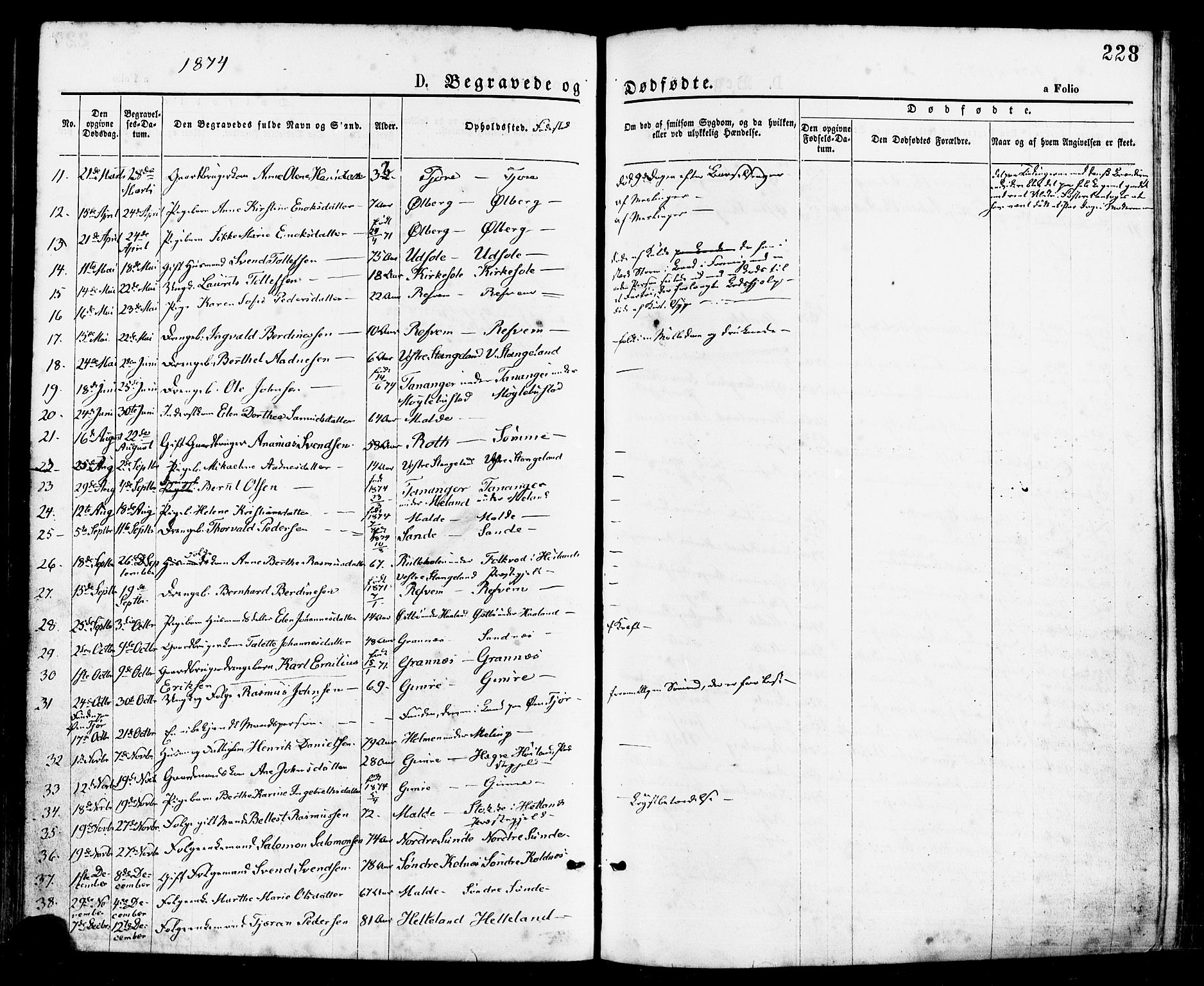 Håland sokneprestkontor, AV/SAST-A-101802/001/30BA/L0009: Parish register (official) no. A 8, 1871-1882, p. 228