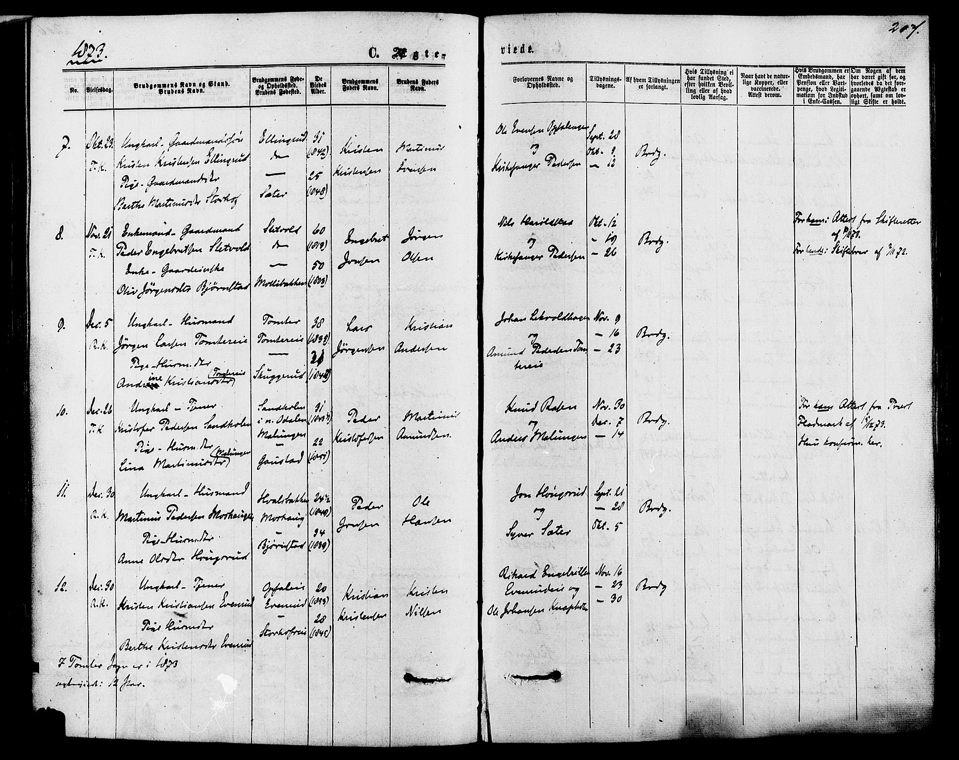 Romedal prestekontor, SAH/PREST-004/K/L0006: Parish register (official) no. 6, 1866-1886, p. 207