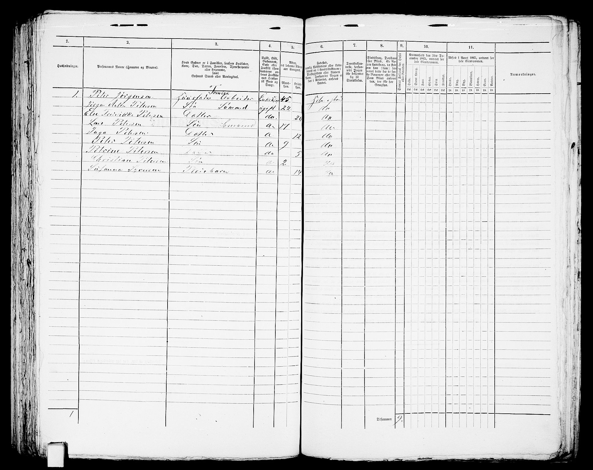 RA, 1865 census for Botne/Holmestrand, 1865, p. 228