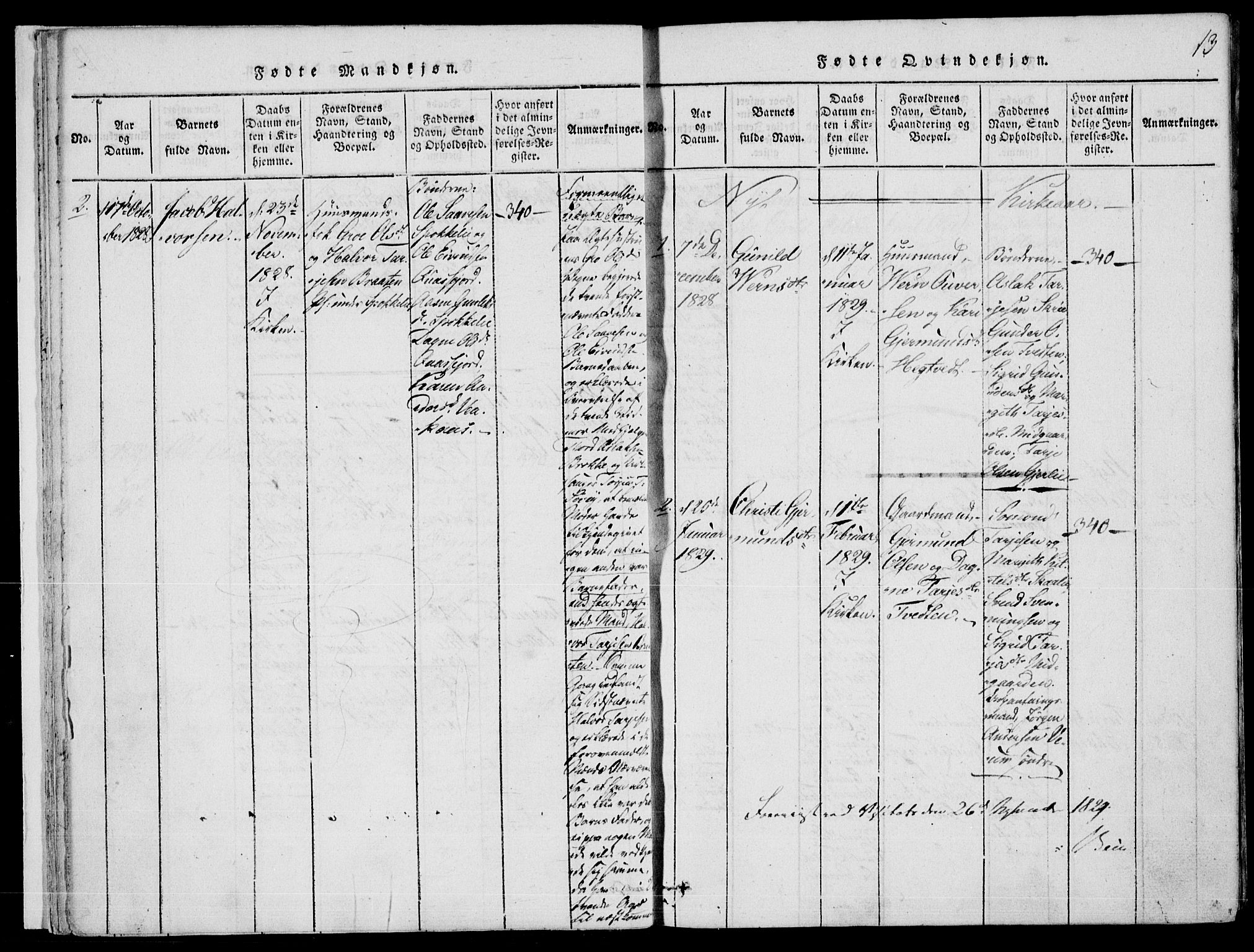 Fyresdal kirkebøker, AV/SAKO-A-263/F/Fb/L0001: Parish register (official) no. II 1, 1815-1854, p. 13