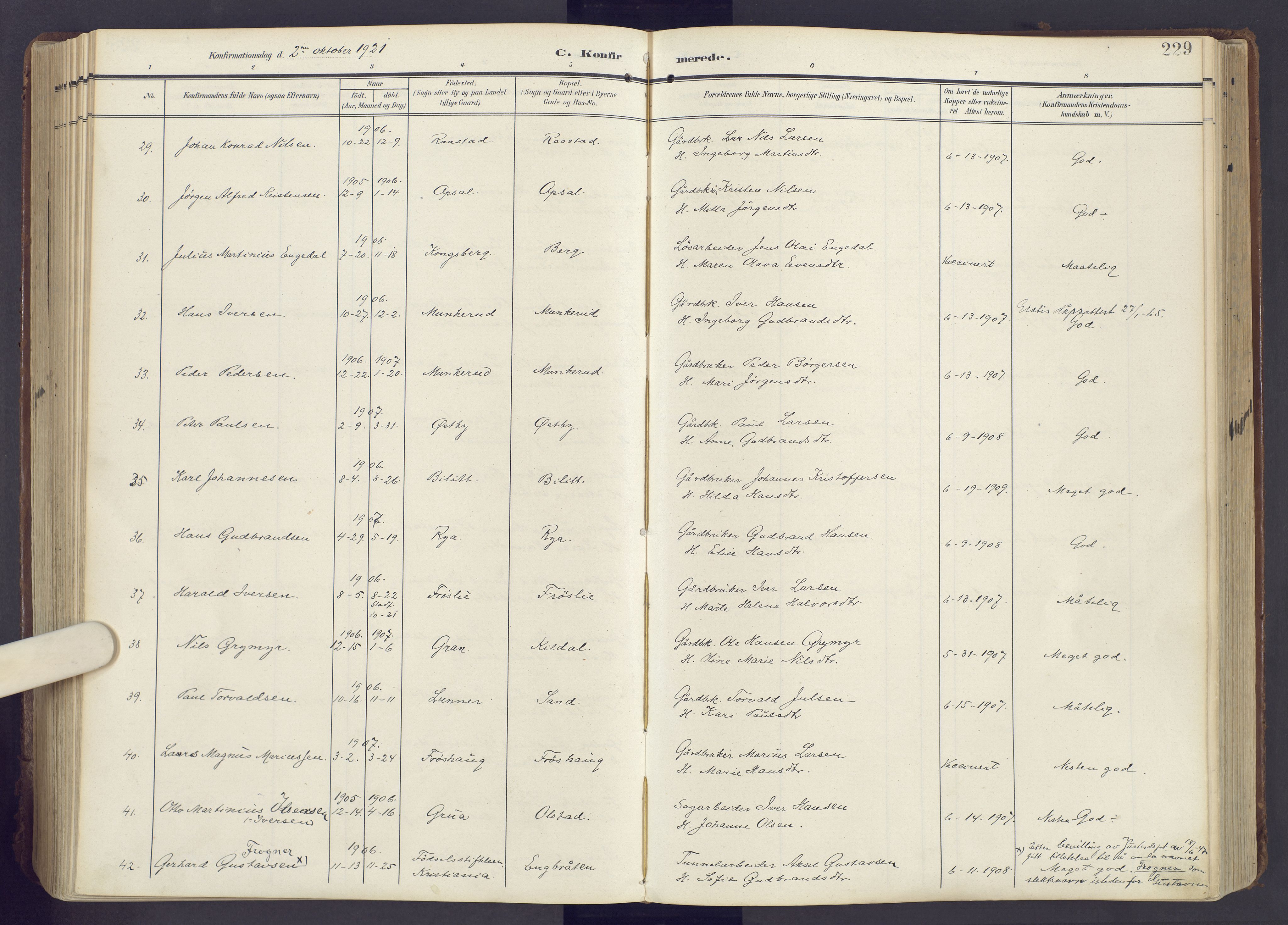 Lunner prestekontor, AV/SAH-PREST-118/H/Ha/Haa/L0001: Parish register (official) no. 1, 1907-1922, p. 229