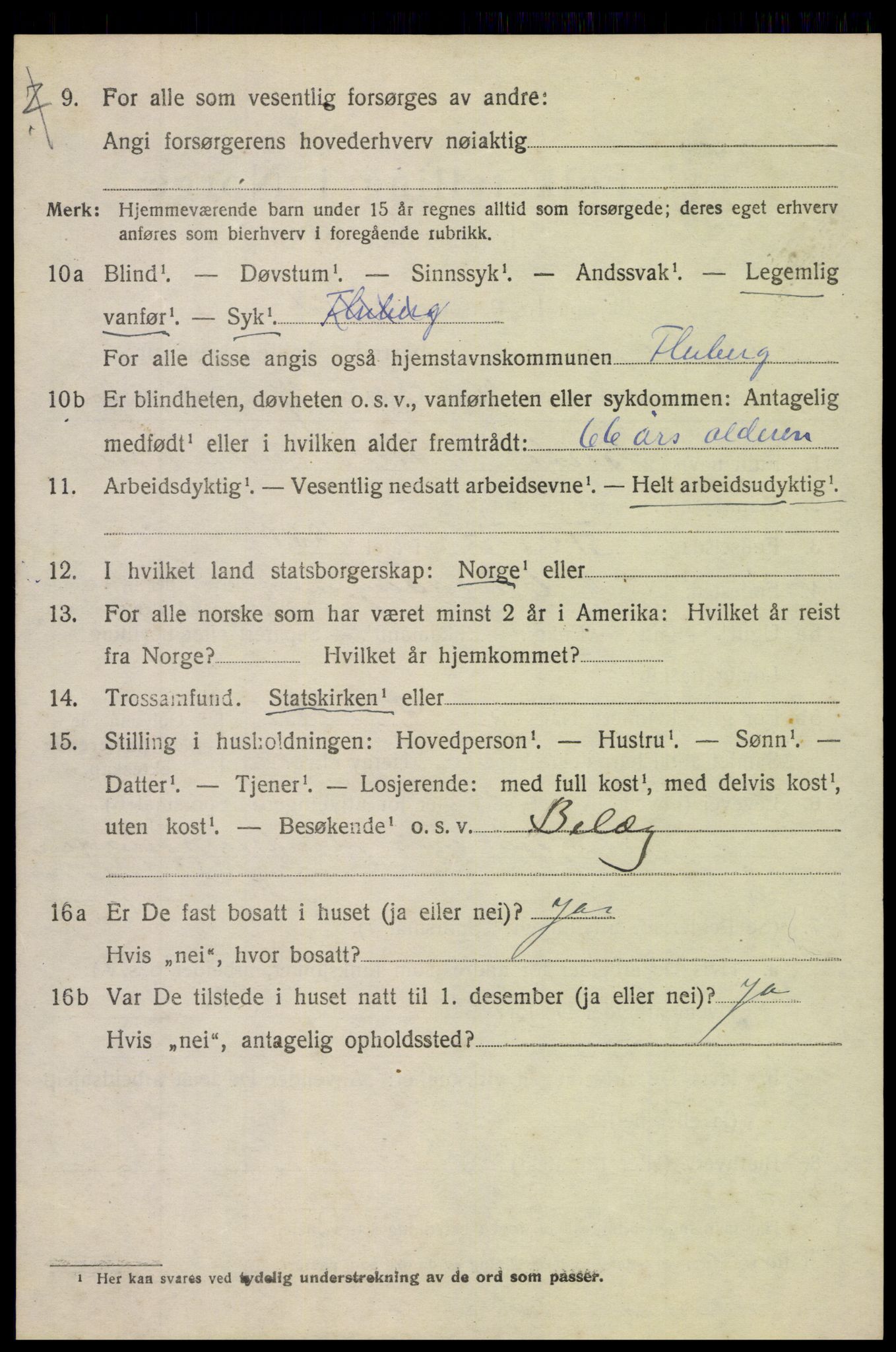 SAH, 1920 census for Fluberg, 1920, p. 3605