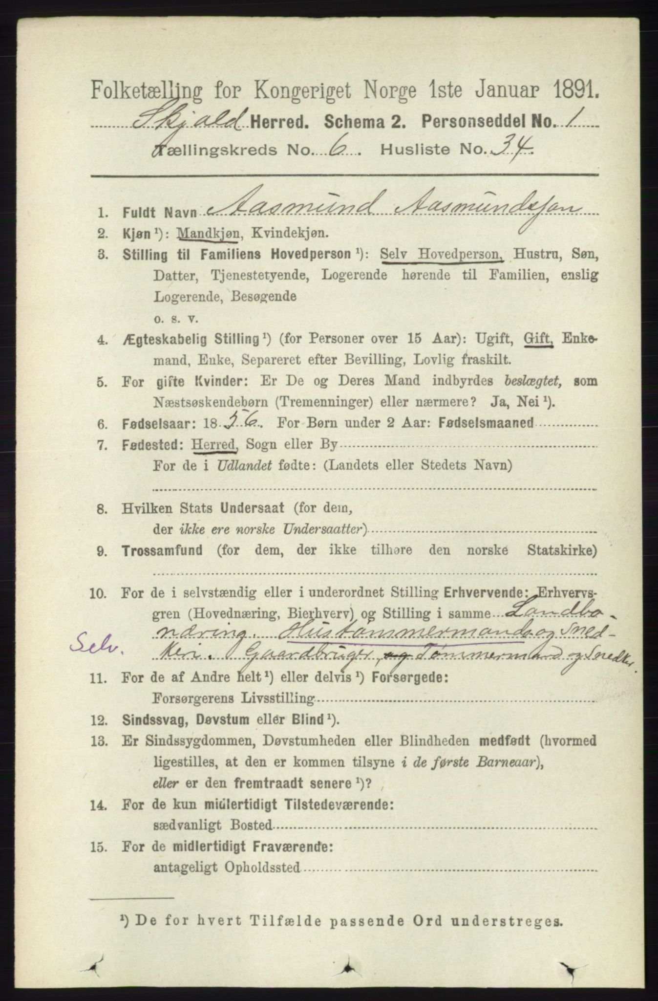 RA, 1891 census for 1154 Skjold, 1891, p. 1185