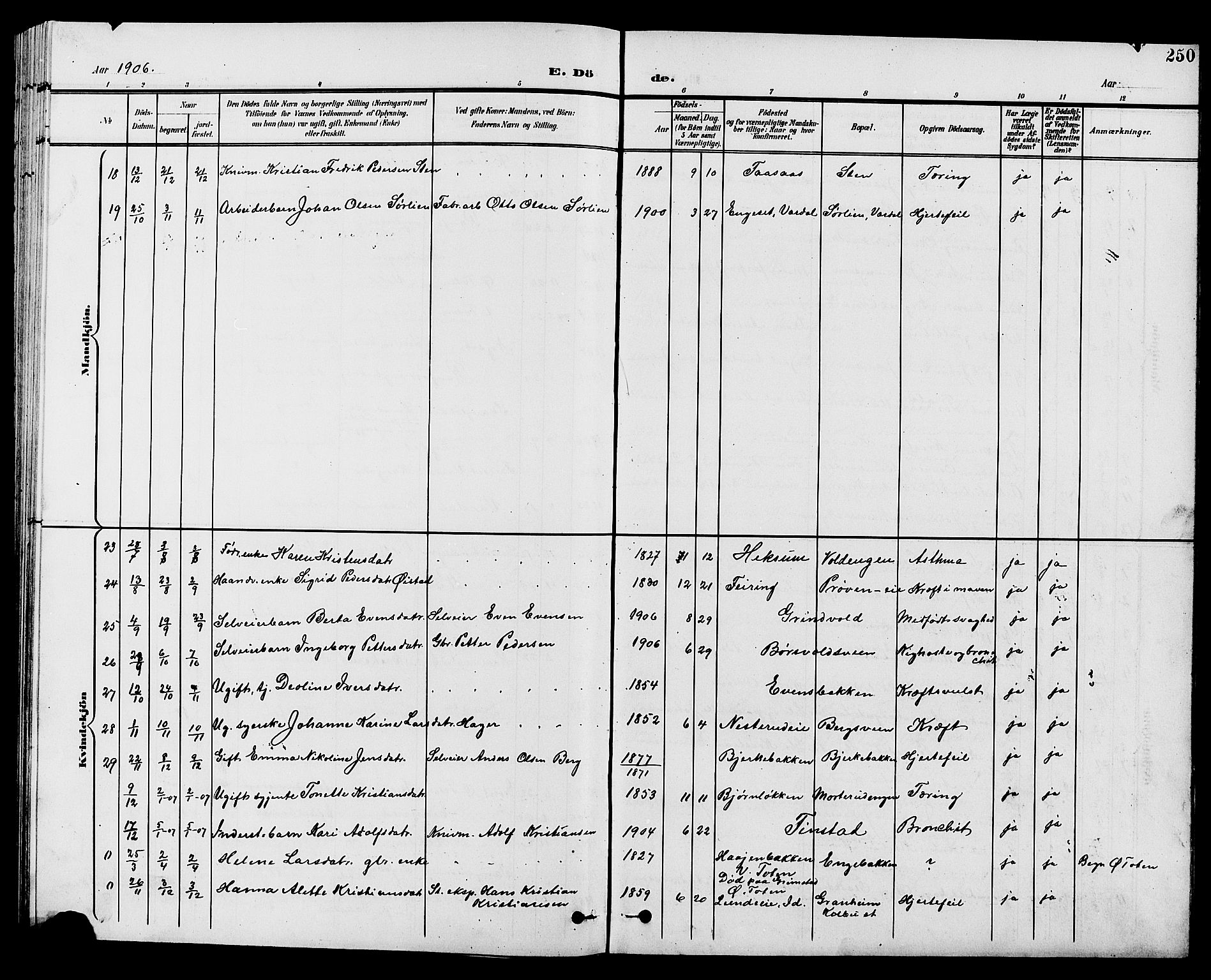 Vestre Toten prestekontor, AV/SAH-PREST-108/H/Ha/Hab/L0010: Parish register (copy) no. 10, 1900-1912, p. 250